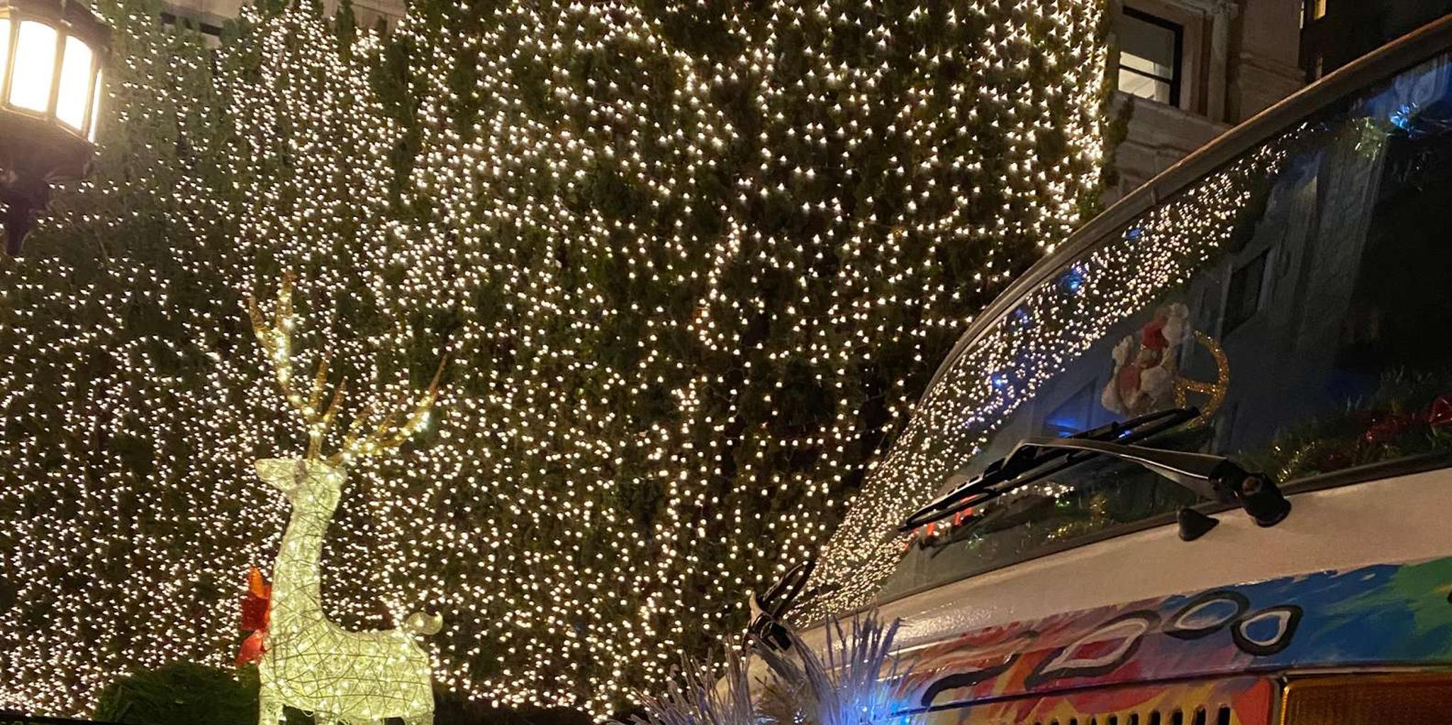 San Francisco Holiday Lights VW Bus Tour 1.5 hr - Image 6