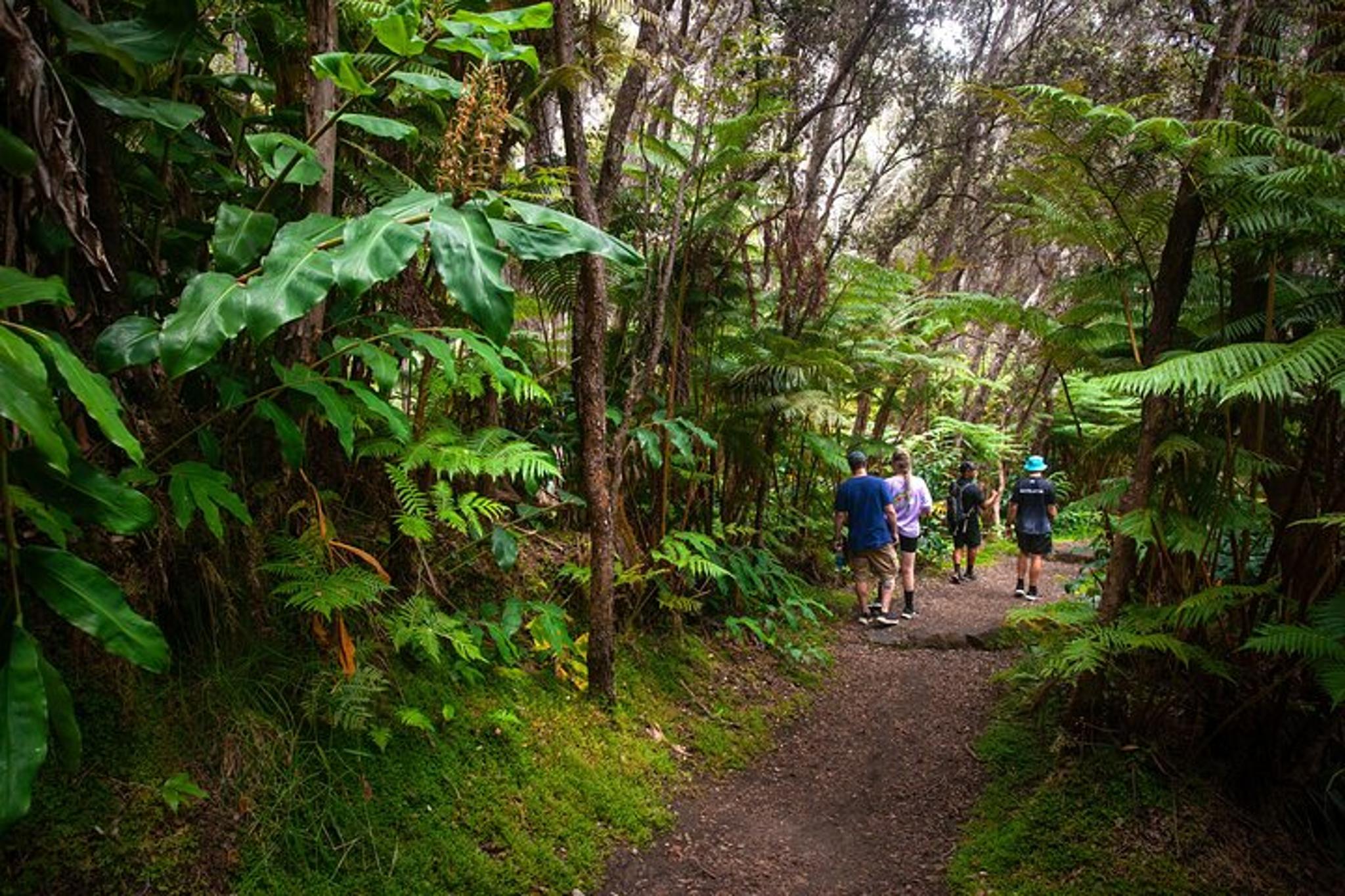Hawai'i Volcanoes National Park Volcano Experience - Image 2