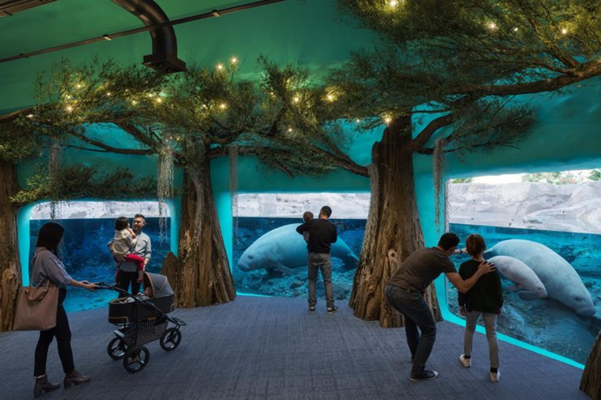 Tampa Zoo and Aquarium Admission - Image 3