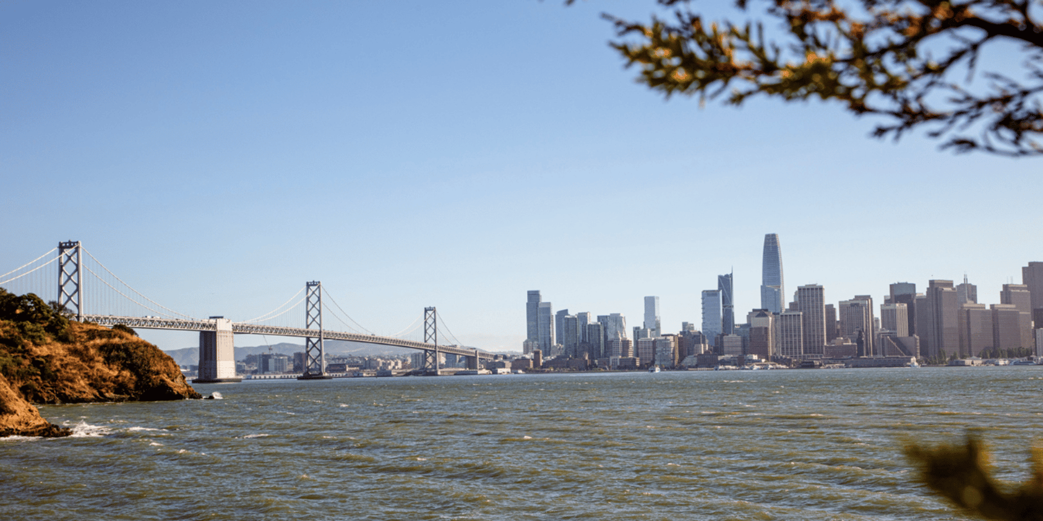 San Francisco Distillery Gin Cocktail Class 1.5 hr - Image 5