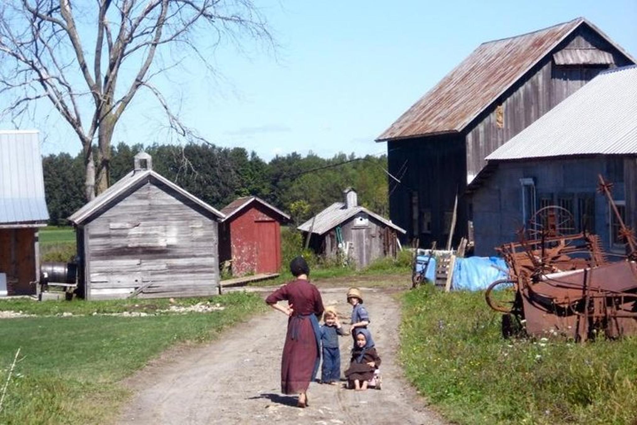 New York to Niagara Falls, DC & Amish Country Tour 4 Days - Image 2