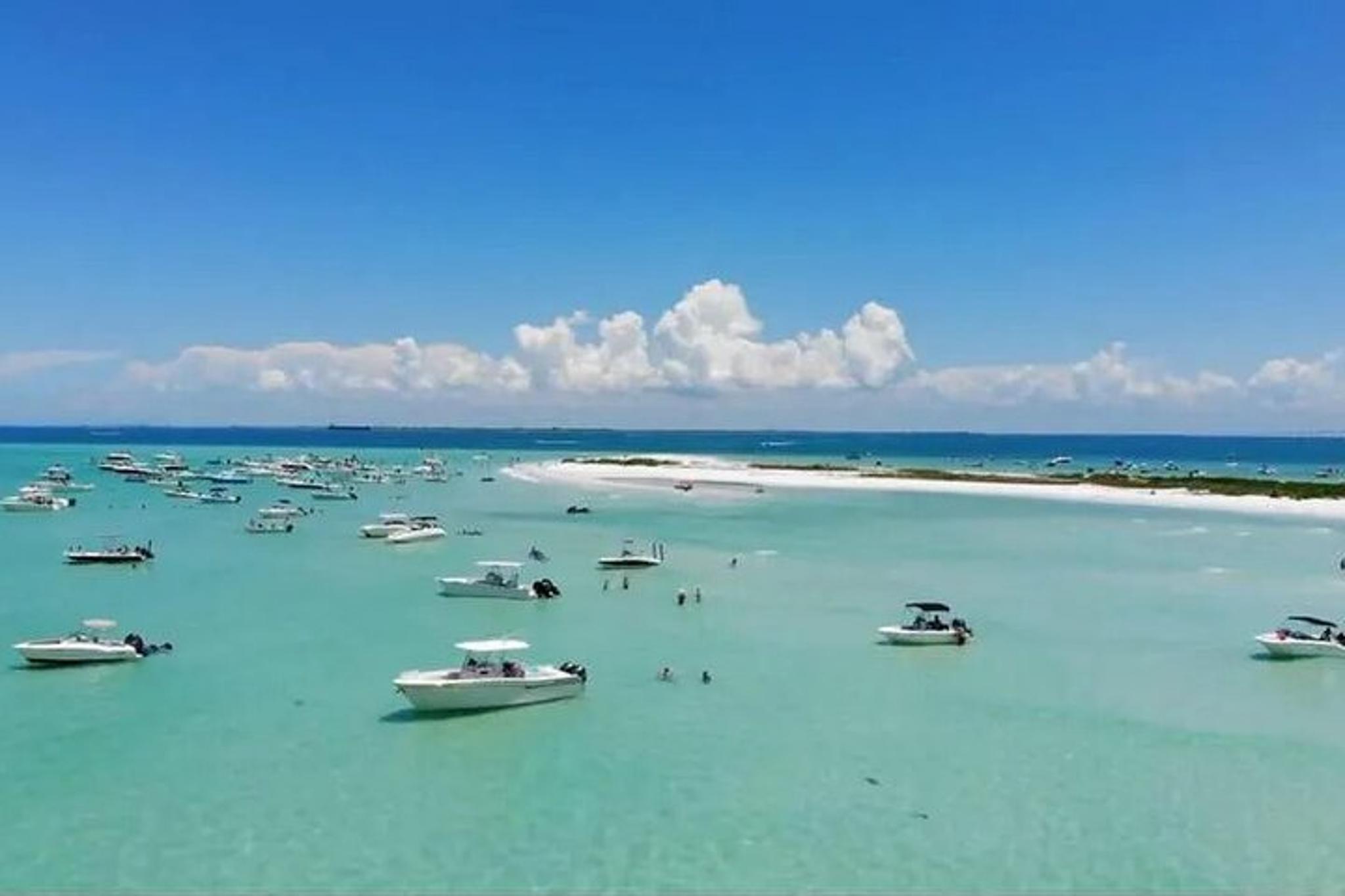 Sarasota Private Boat Tour with Sandbar Hopping - Image 5