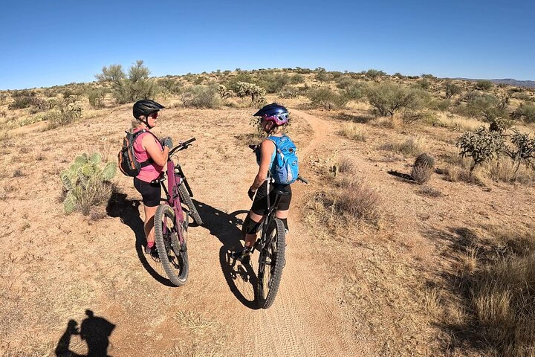 Tucson Mountain Bike Rental - Image 4