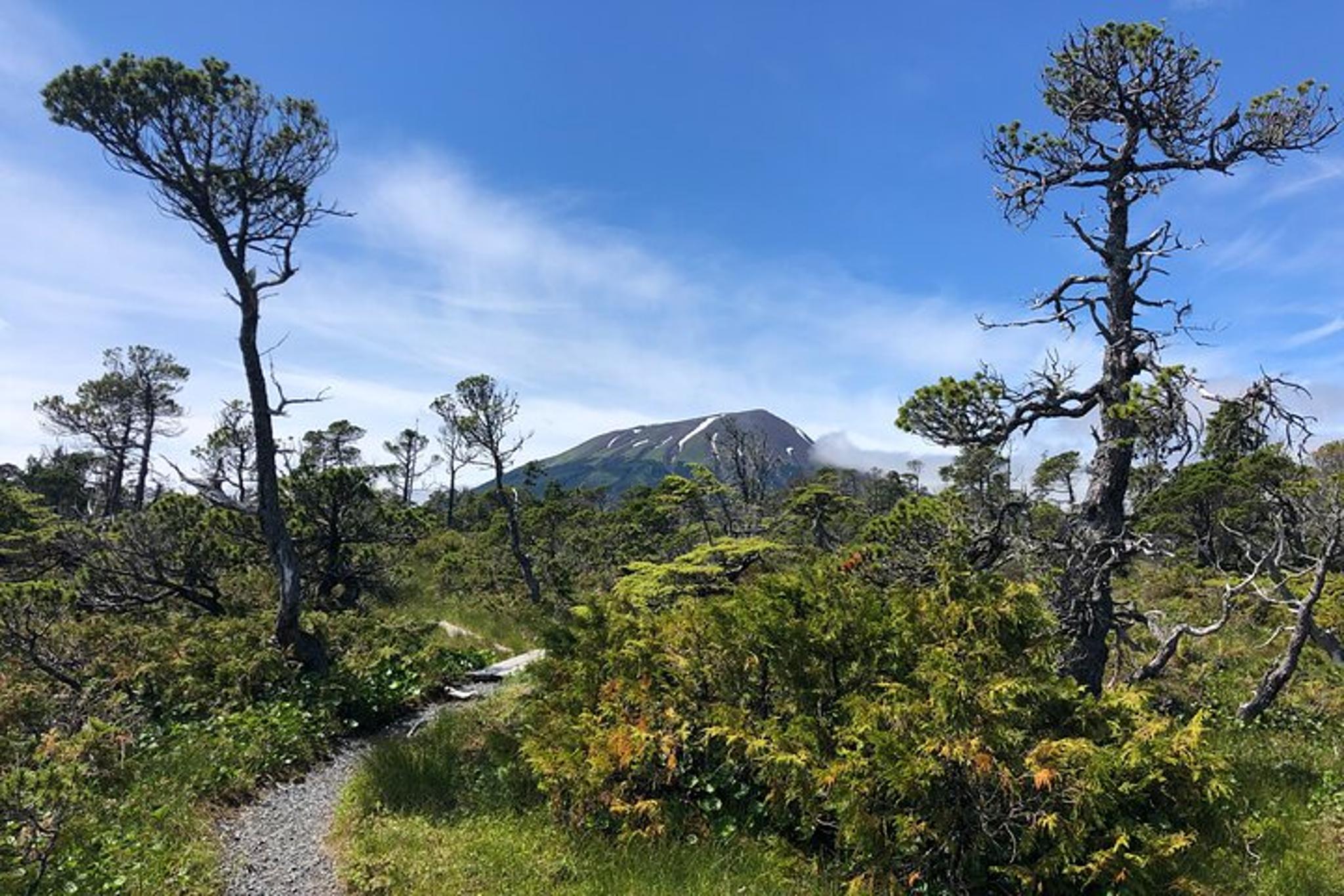 Sitka Guided Hike - Image 4