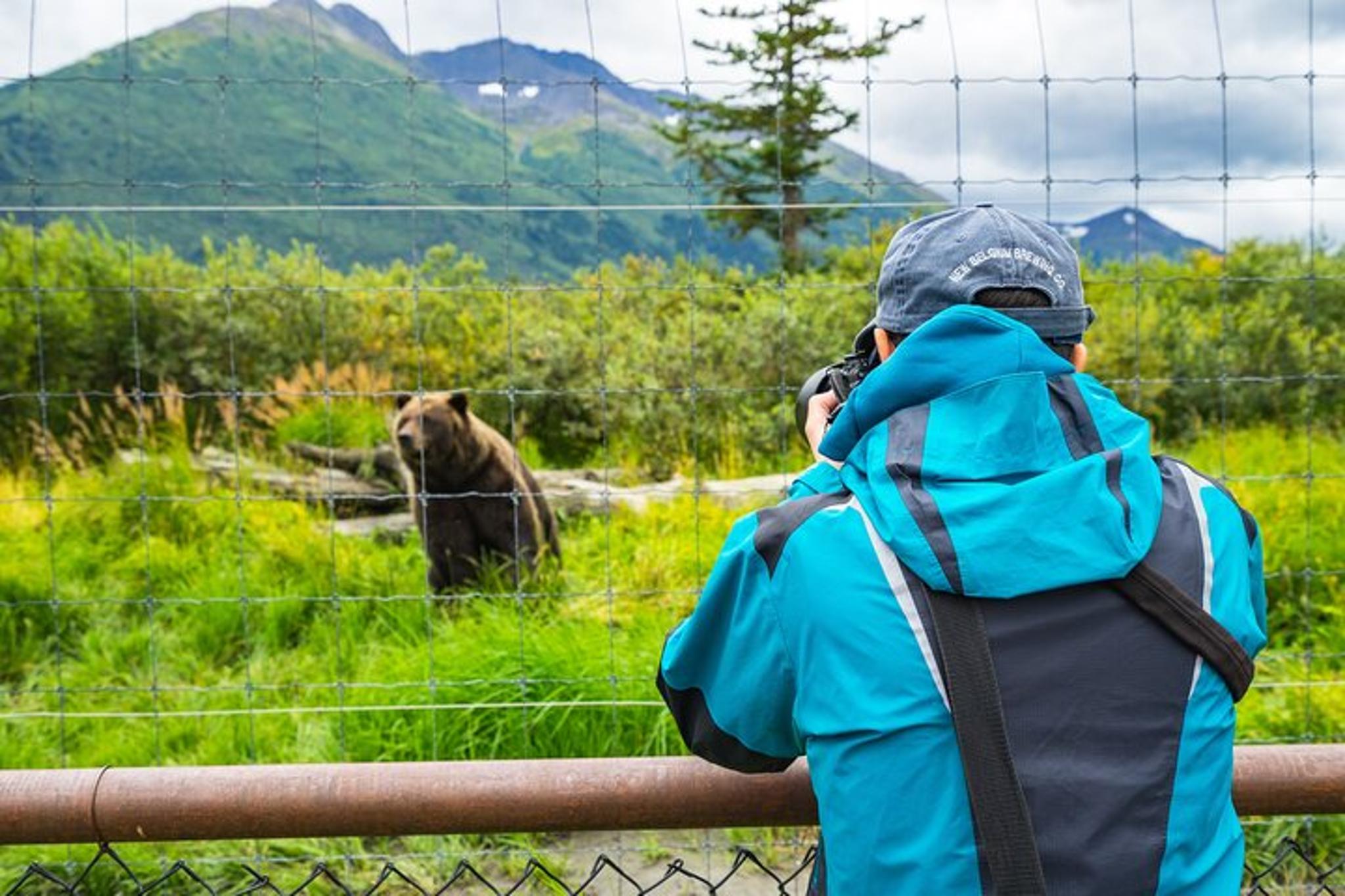 Anchorage Wildlife Adventure to Whittier - Image 5
