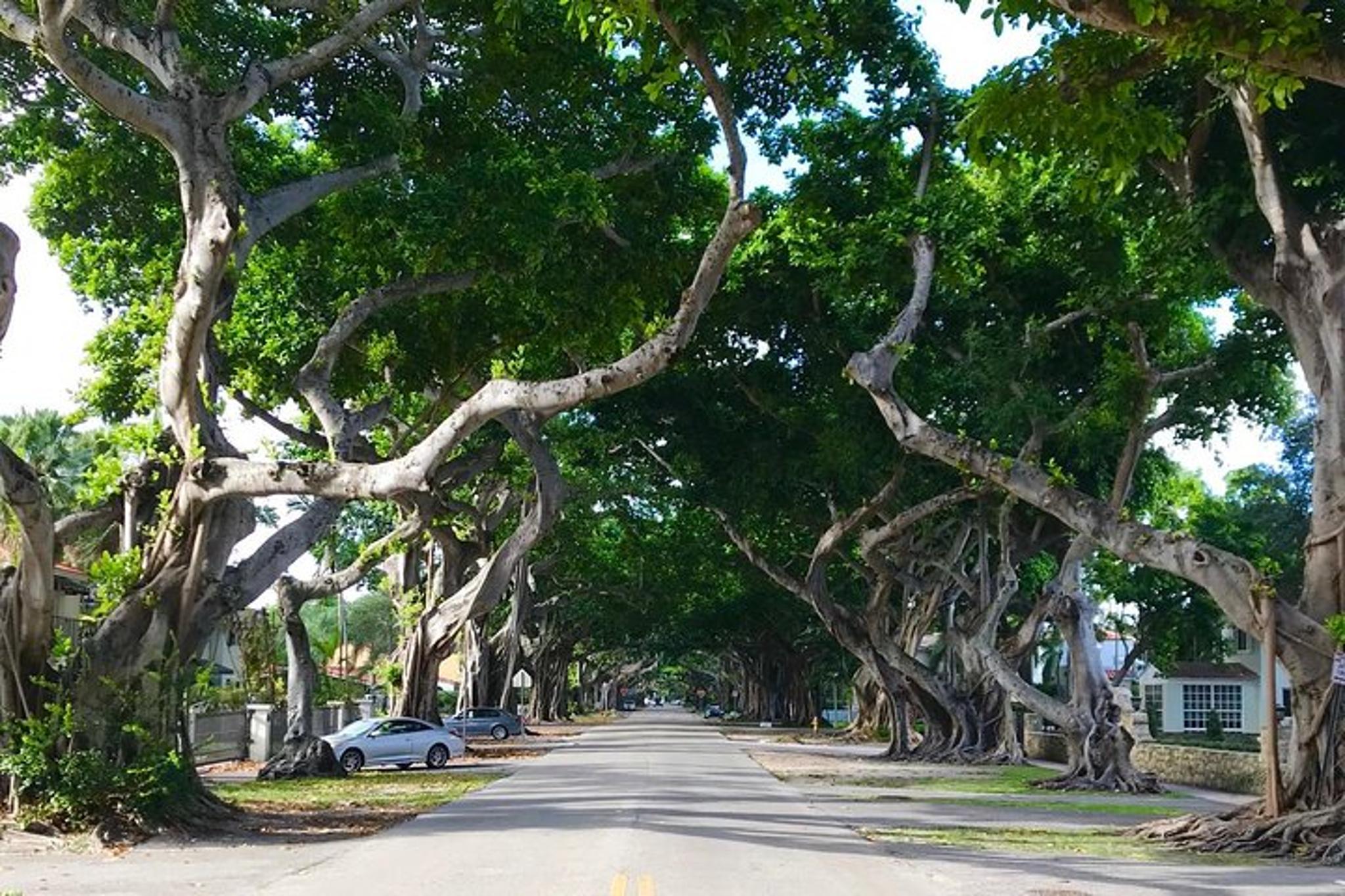 Miami City Tour Off the Beaten Path - Image 3