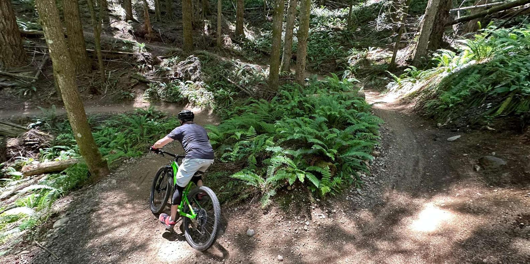 Seattle Mountain Bike Tour in the Cascade Foothills - Image 3