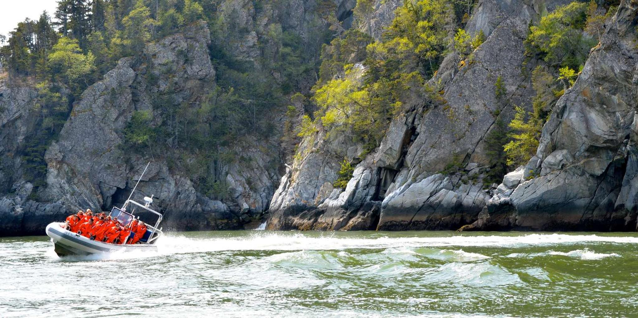 Skagway Ocean Raft Adventure