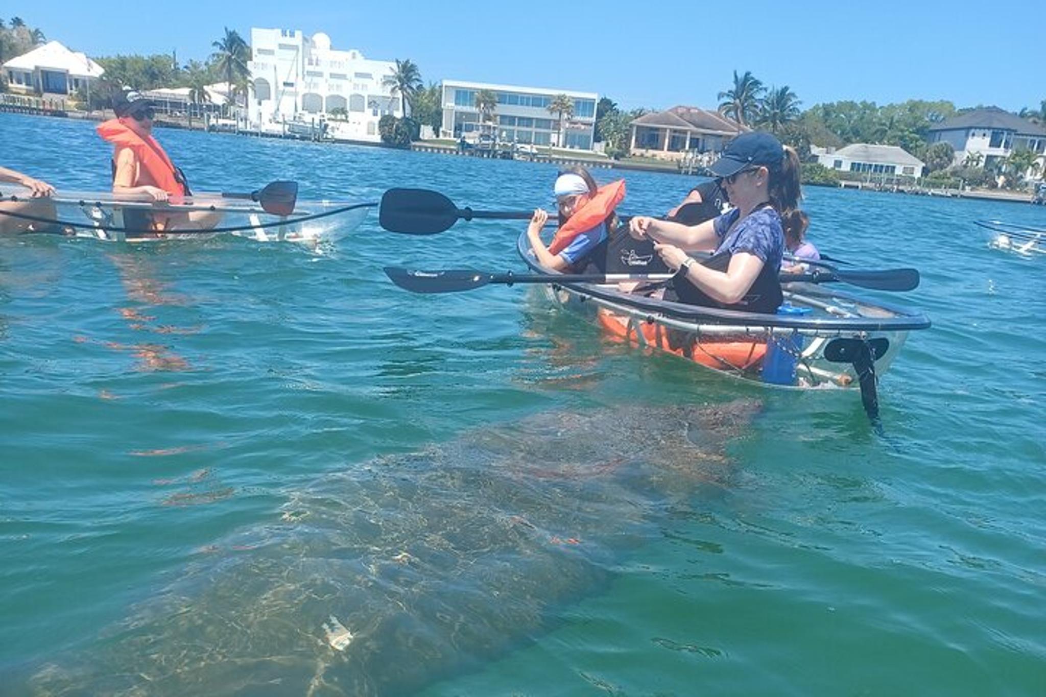 Anna Maria Island Clear Kayak Tour - Image 2
