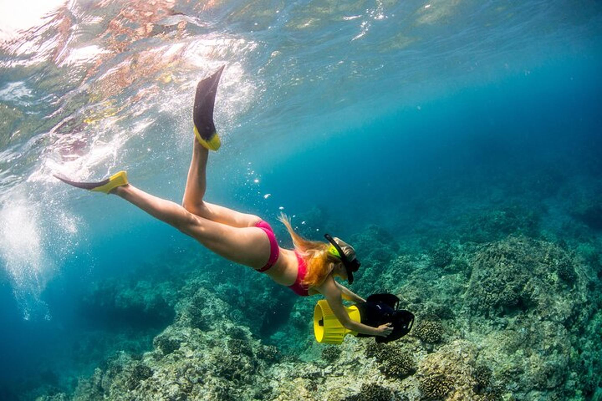 Kona Coast Snorkel Tour with Lunch - Image 5