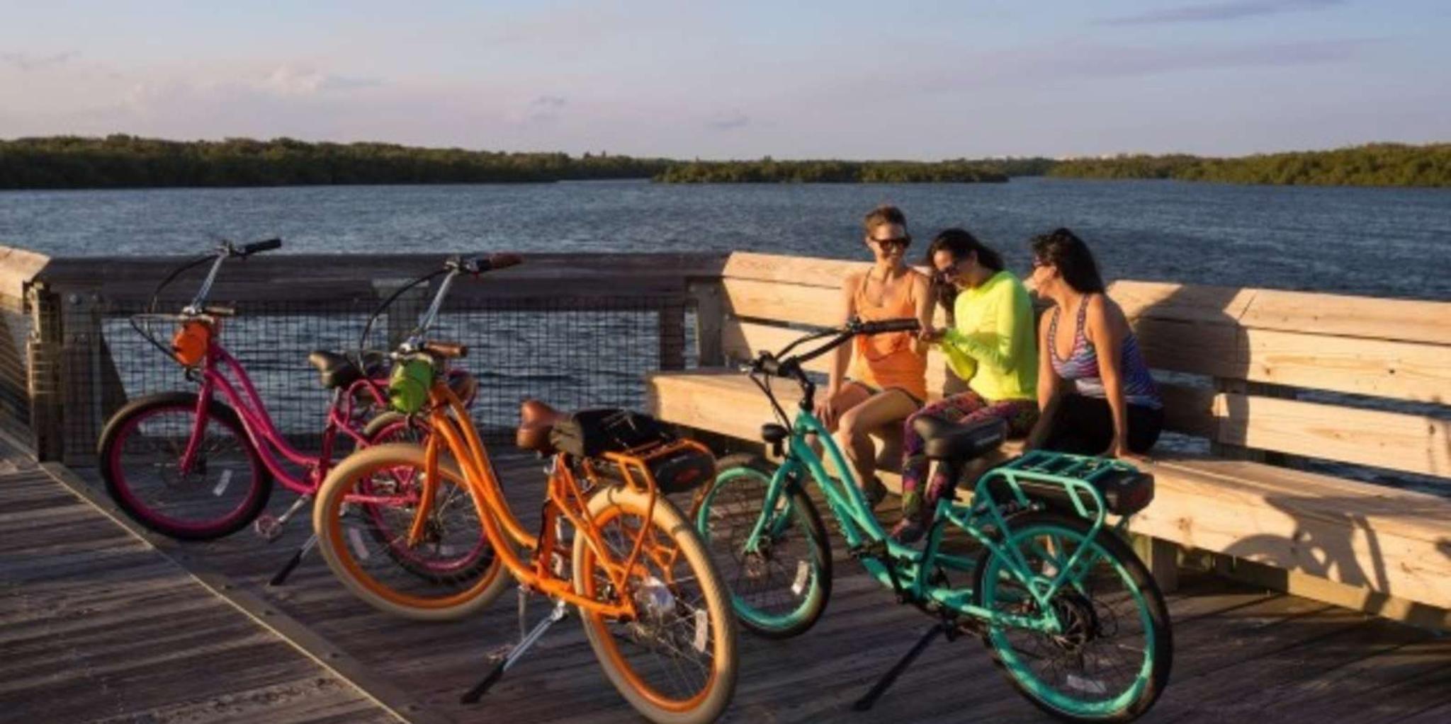 Norfolk Electric Bike Rental - Image 3