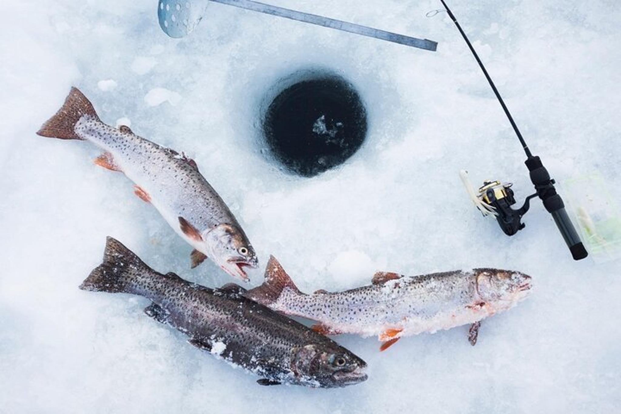 Fairbanks Ice Fishing Tour