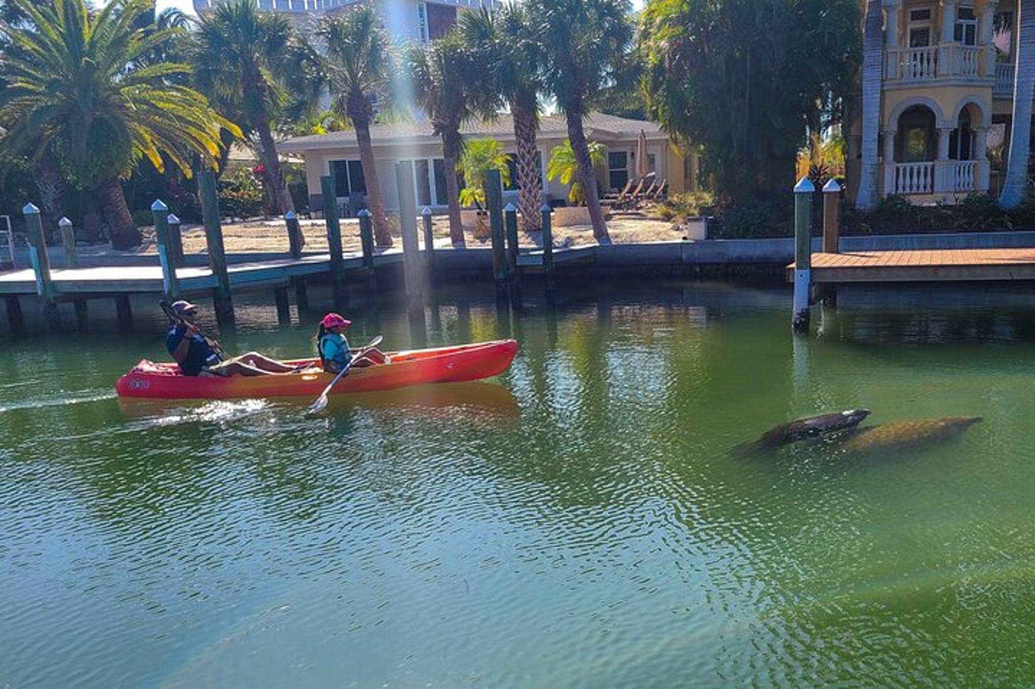 Siesta Key Kayak or Paddleboard Tour - Image 6