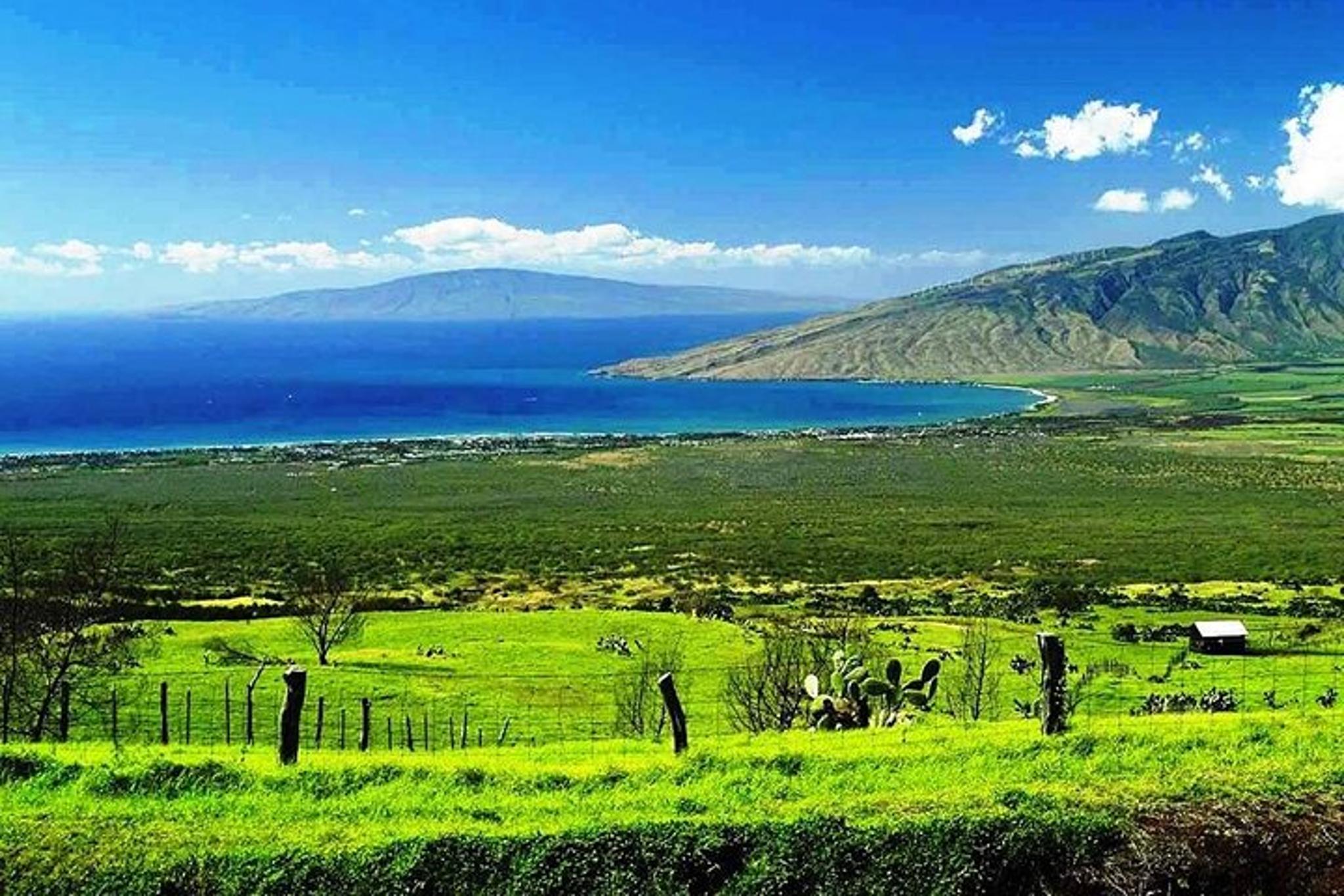 Maui Jungle Tour with Lahaina Pickup - Image 6