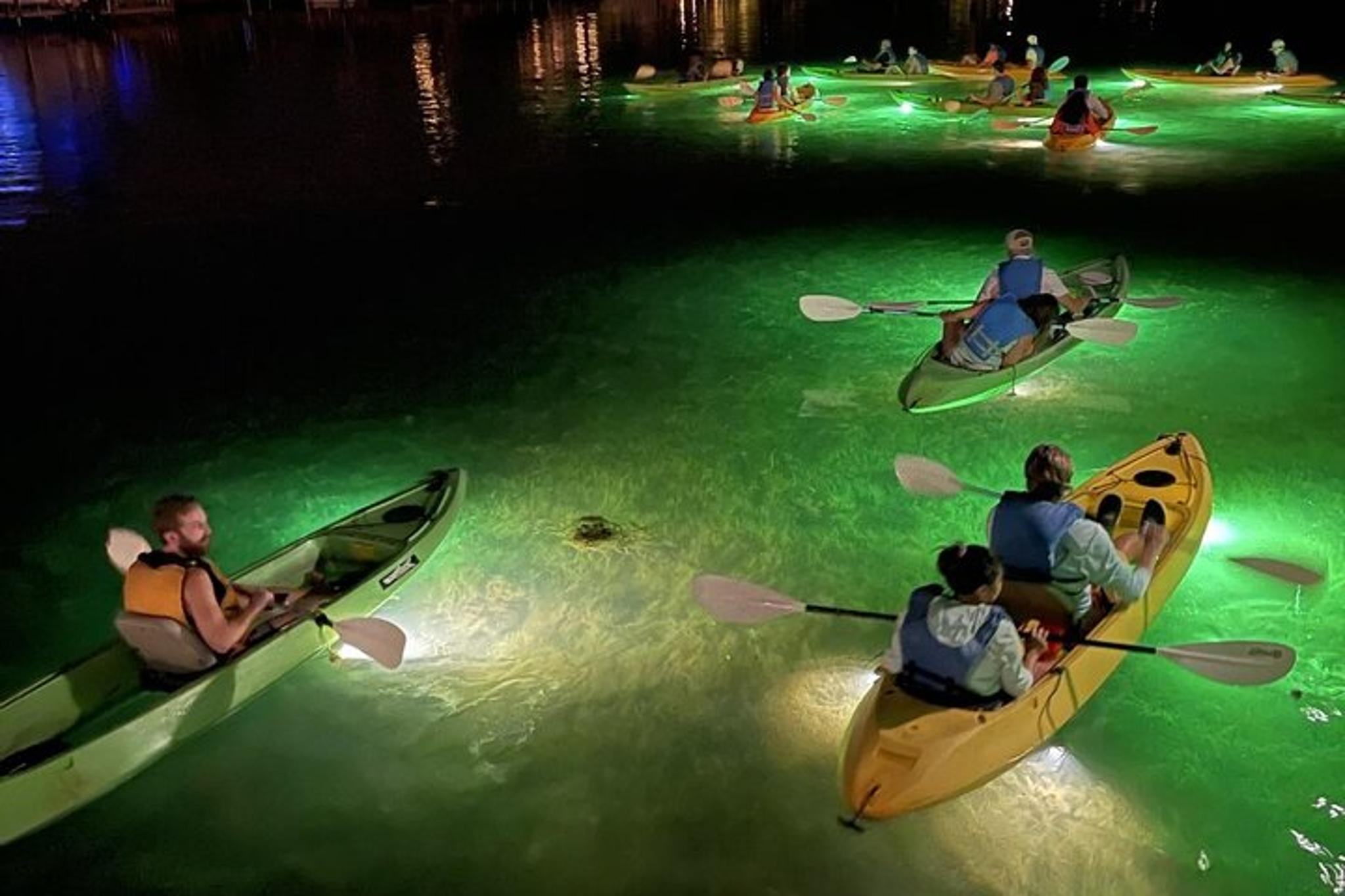 Clearwater Glass Bottom Fish Feeding Night Tour