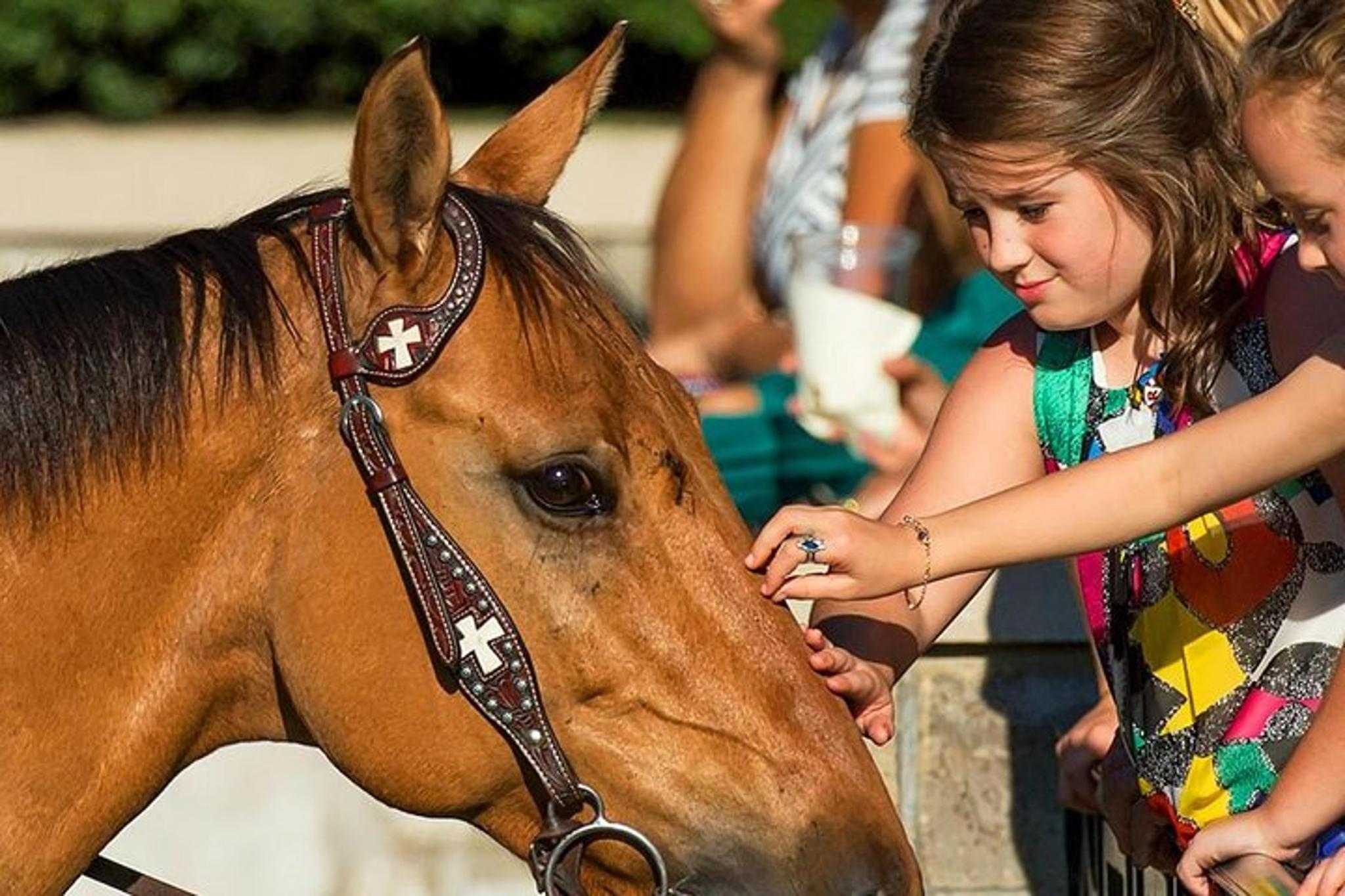 Louisville Bourbon & Derby Tour - Image 2