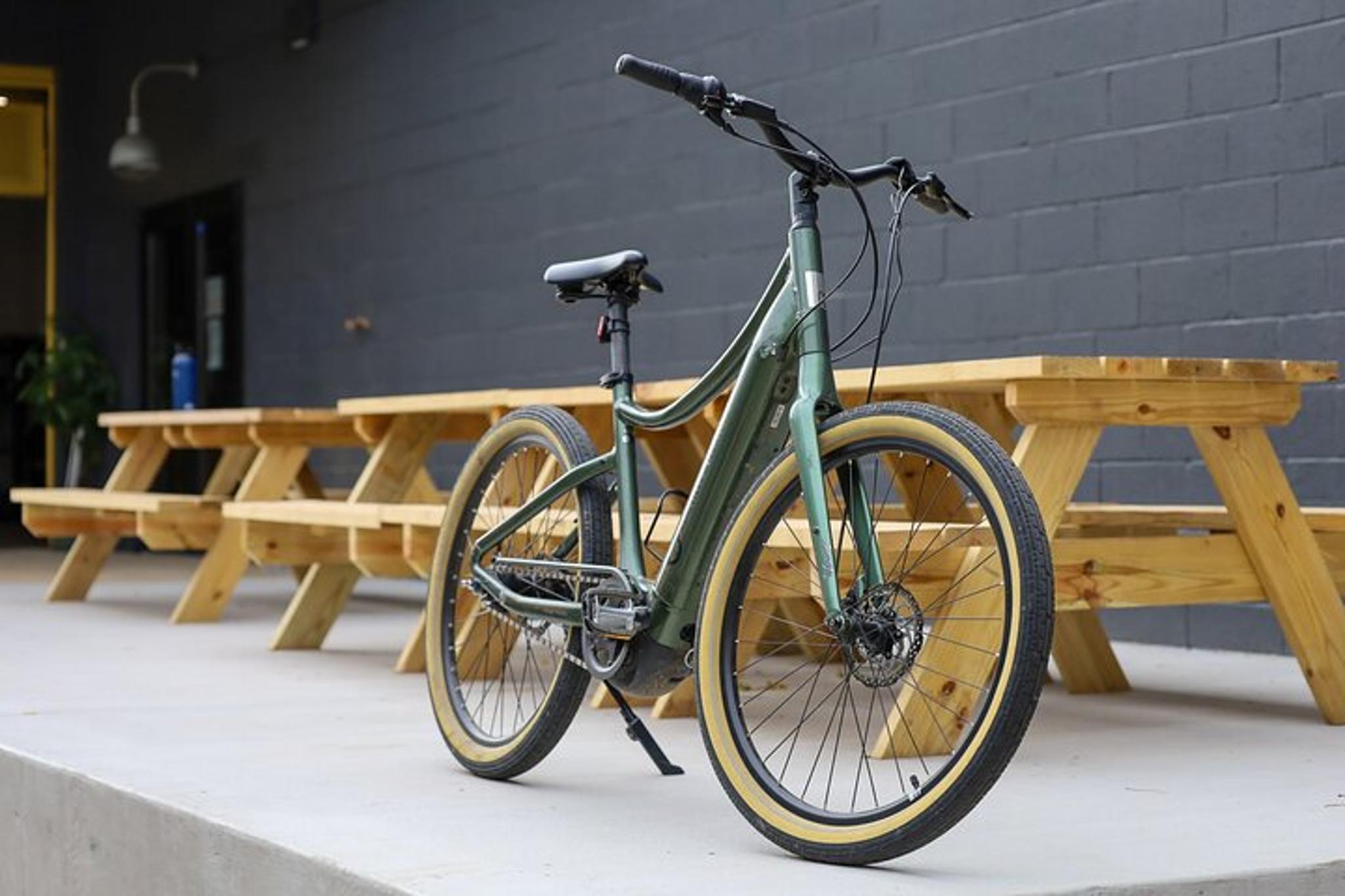 Asheville E-Bike Tour in the Mountains - Image 4