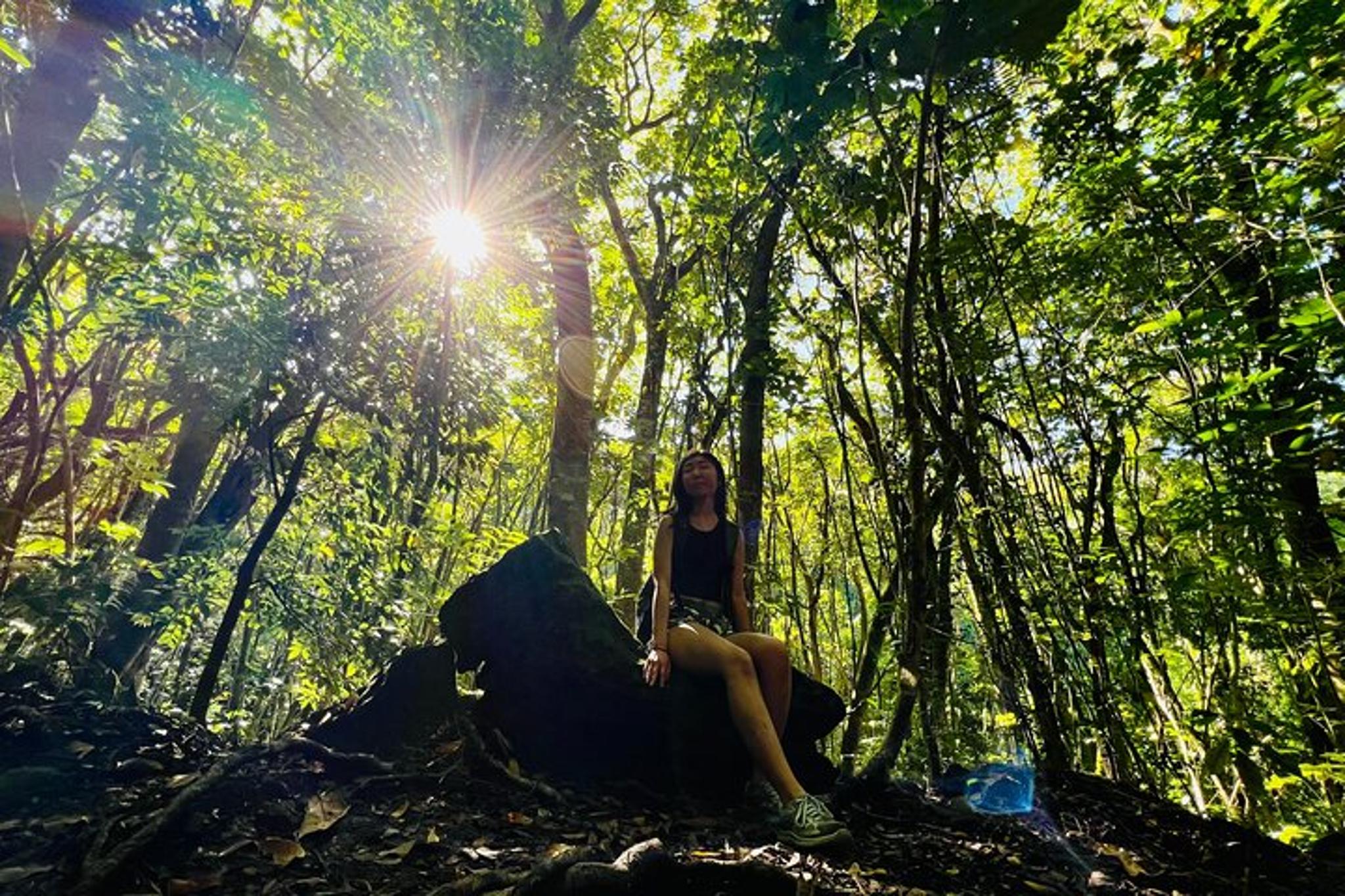 Waterfall Hike and Scenic Tour in Japan 4.5 hr - Image 6