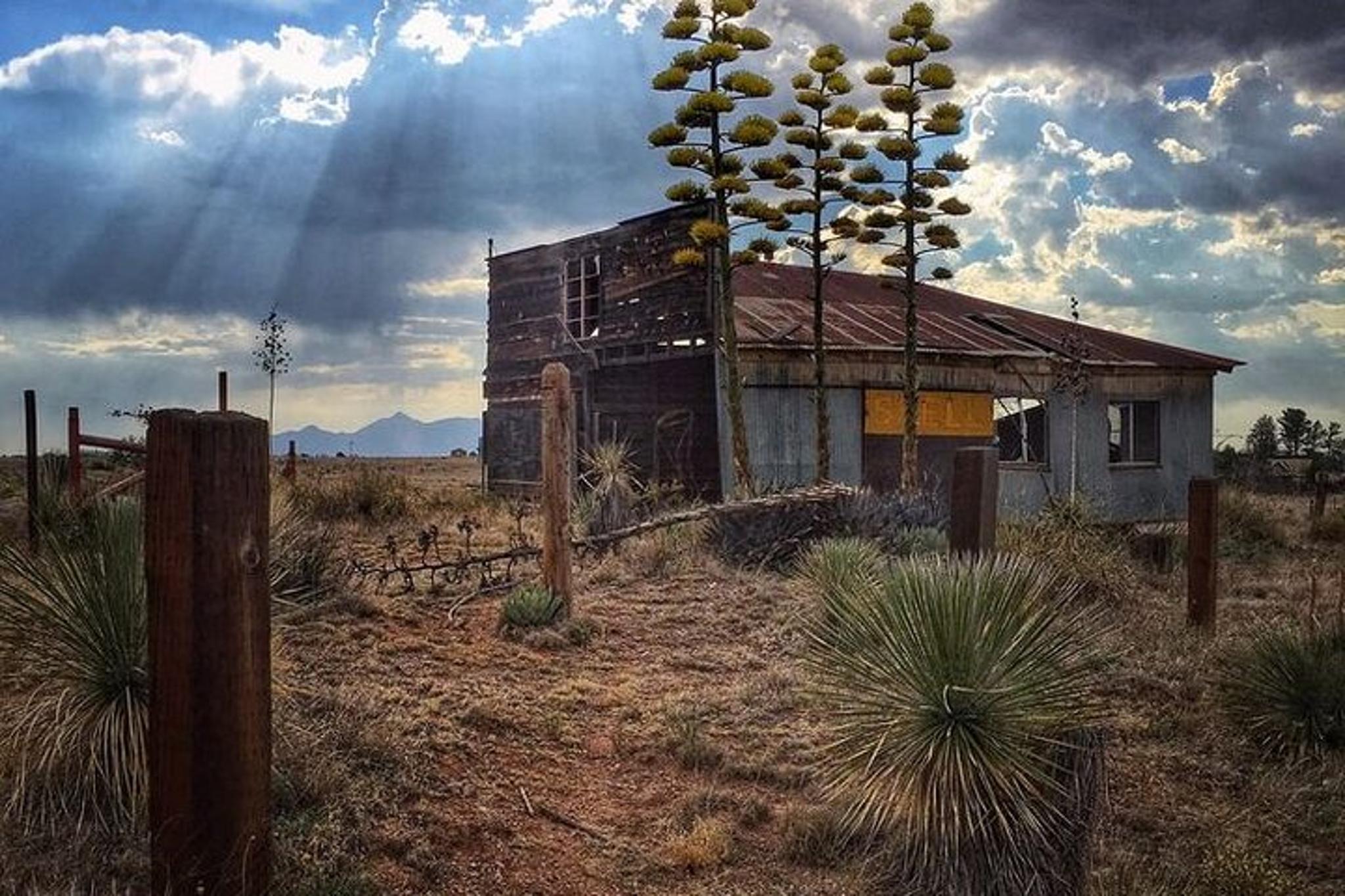 Tucson Wine Tasting Experience - Image 5