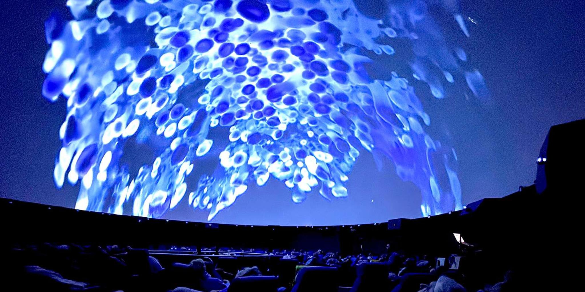 Tampa Ocean Sounds Immersive Experience 1 hr - Image 4