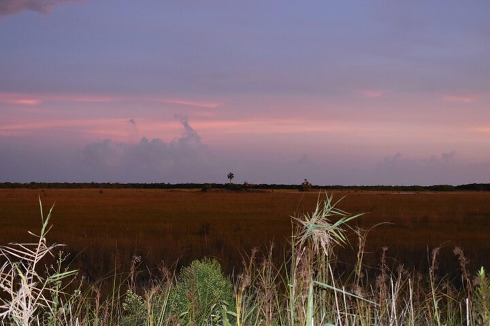 Everglades Safari-Style Jeep Tour - Image 6