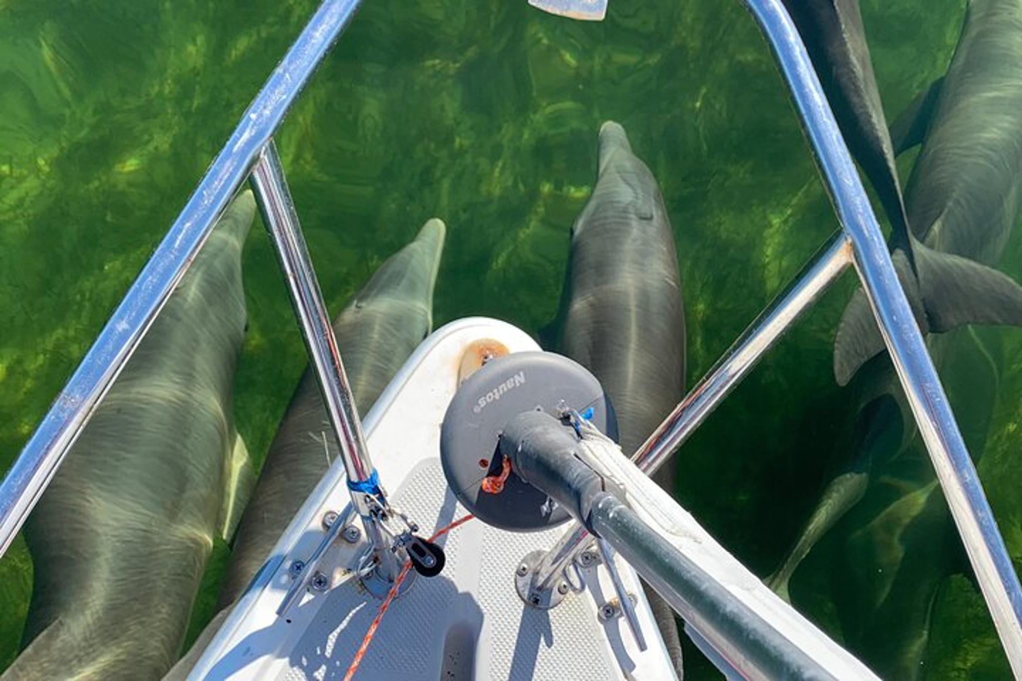 Key Largo Catamaran Sailing Adventure - Image 5