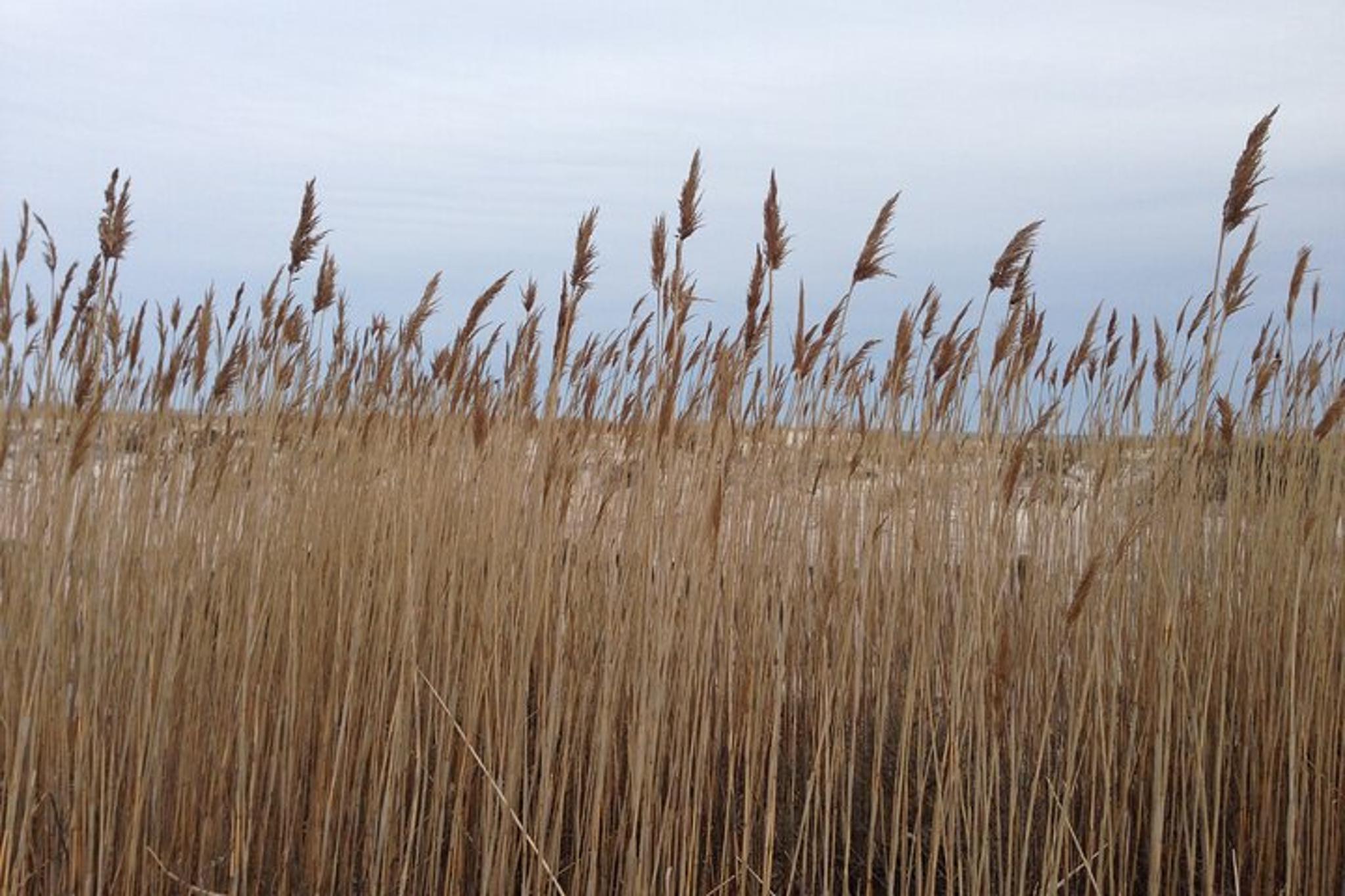 Fire Island Lighthouse Tour - Image 2