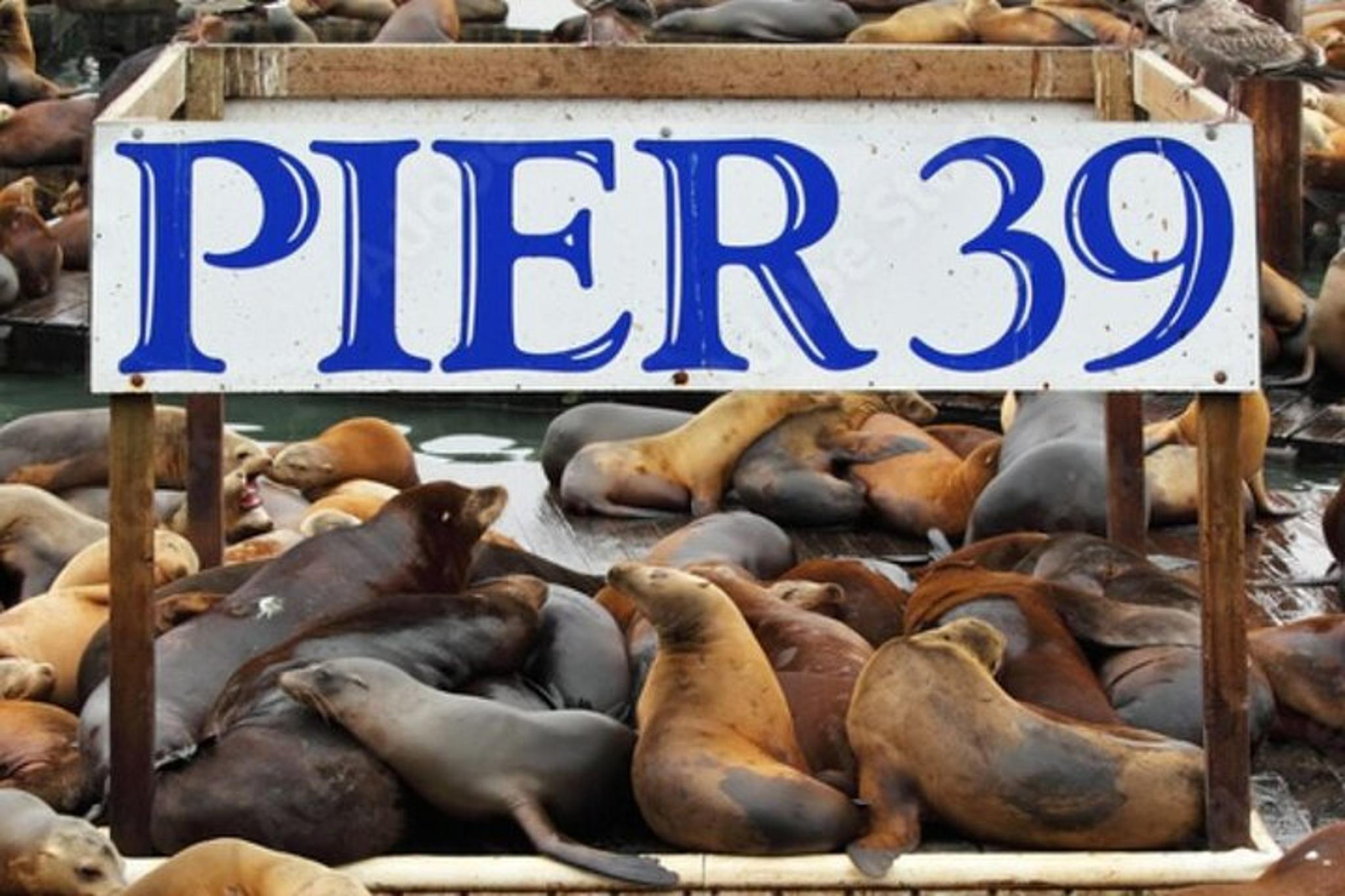 San Francisco Fisherman's Wharf Self-Guided Audio Tour - Image 2