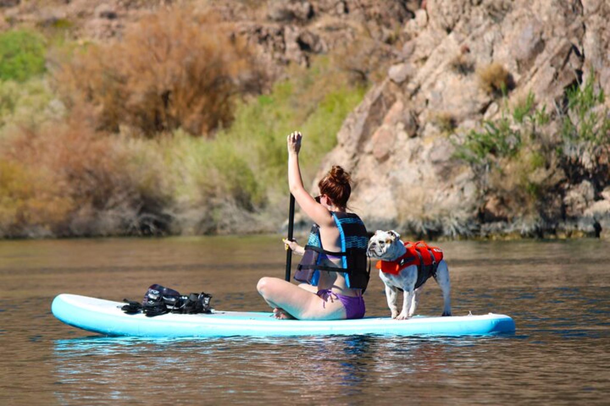 Willow Beach Paddleboard Rental on the Colorado River - Image 3