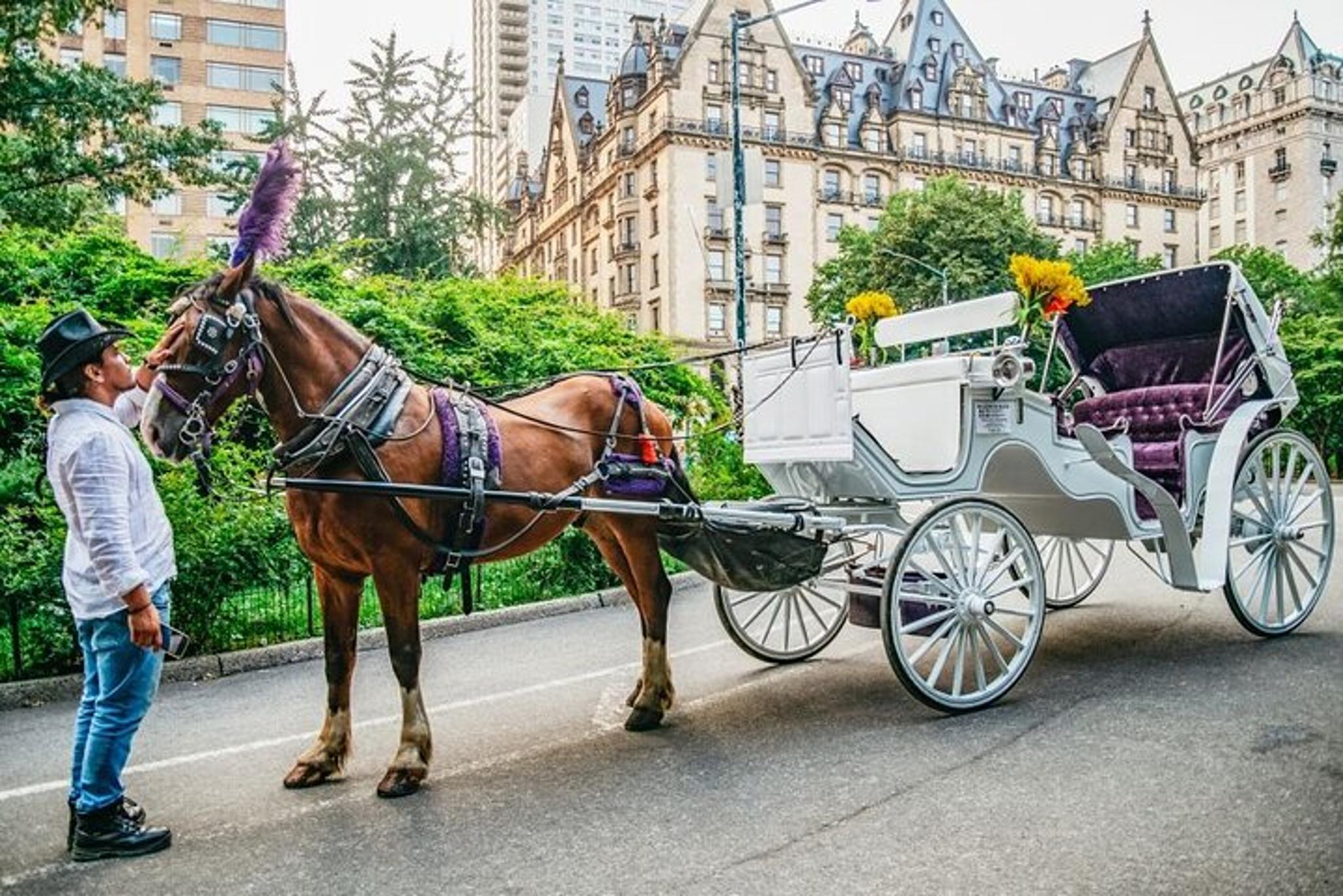 New York City Central Park Horse Carriage Tour - Image 1