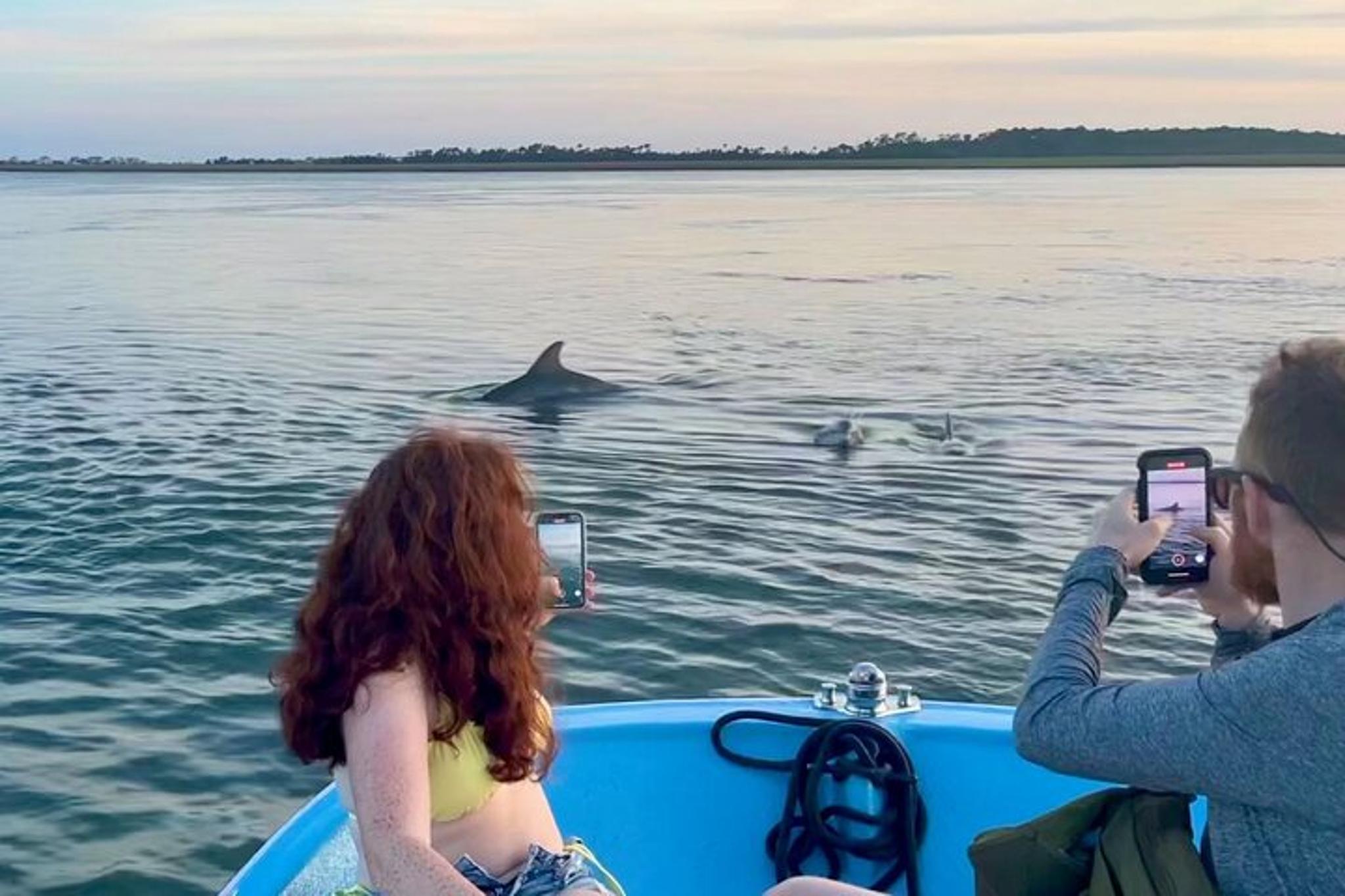 Charleston Dolphin Cruise and Shelling Trip