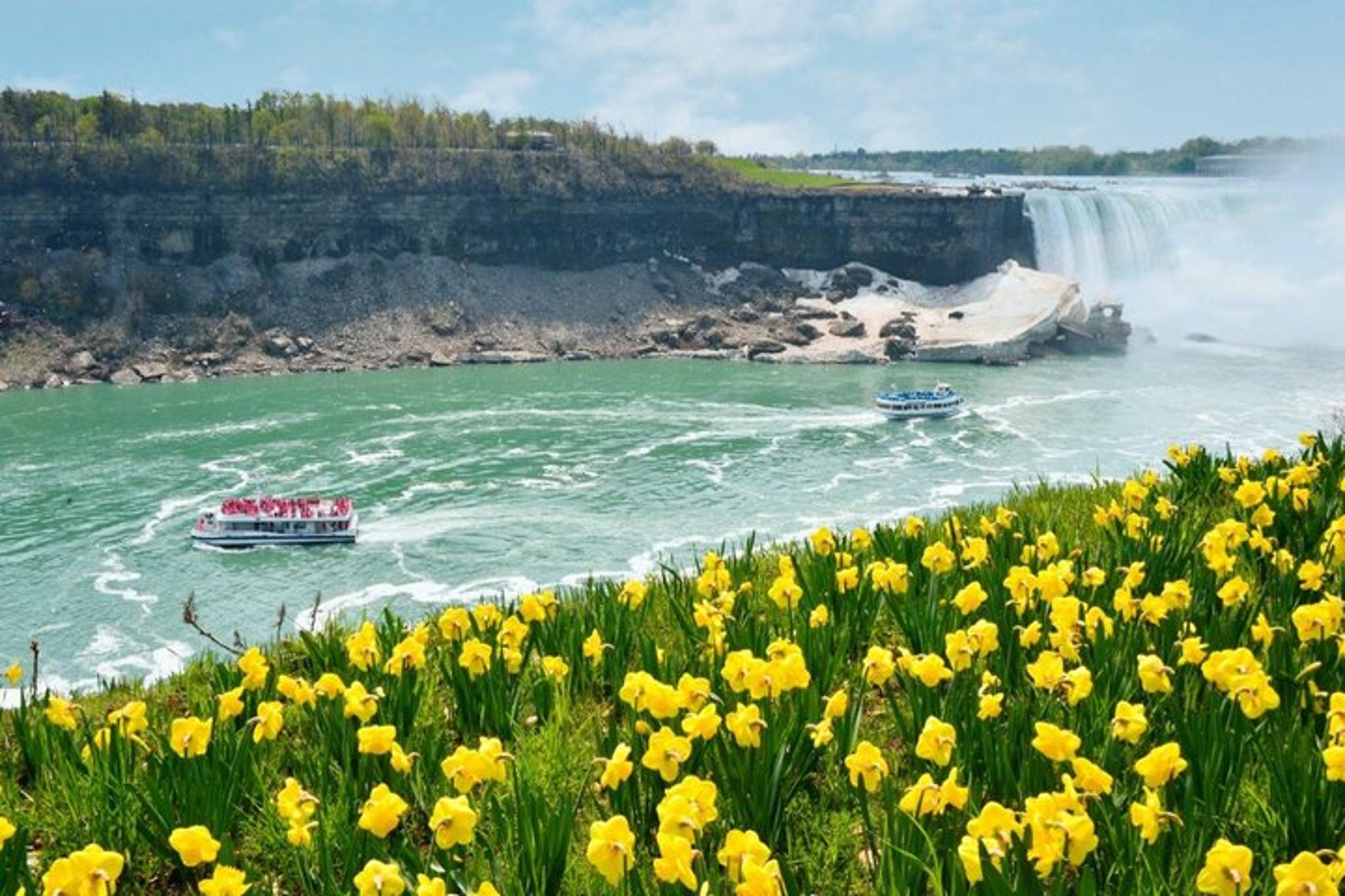 New York City Niagara Falls Tour by Air - Image 4