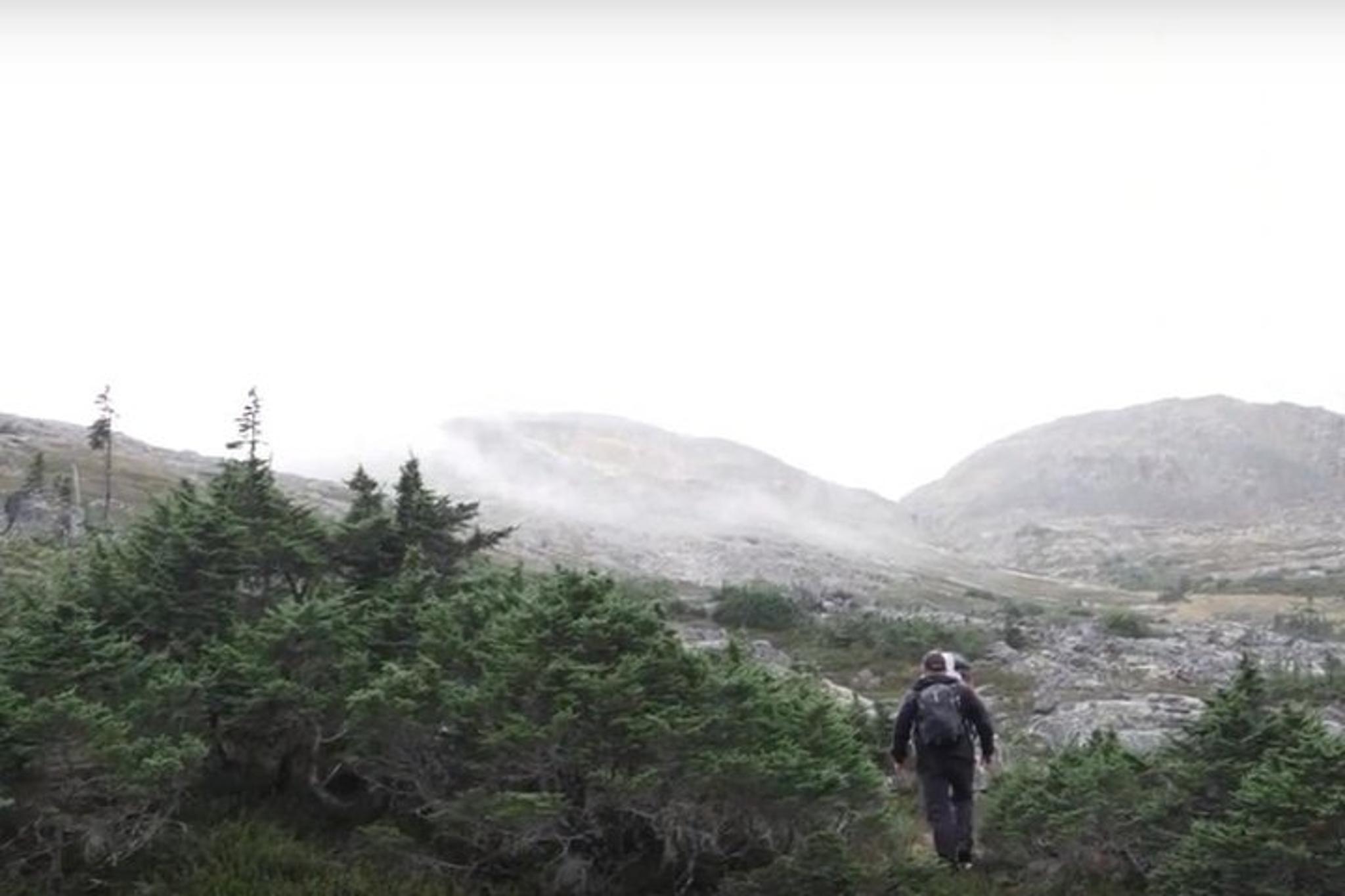 Skagway Mountaineering Adventure - Image 6