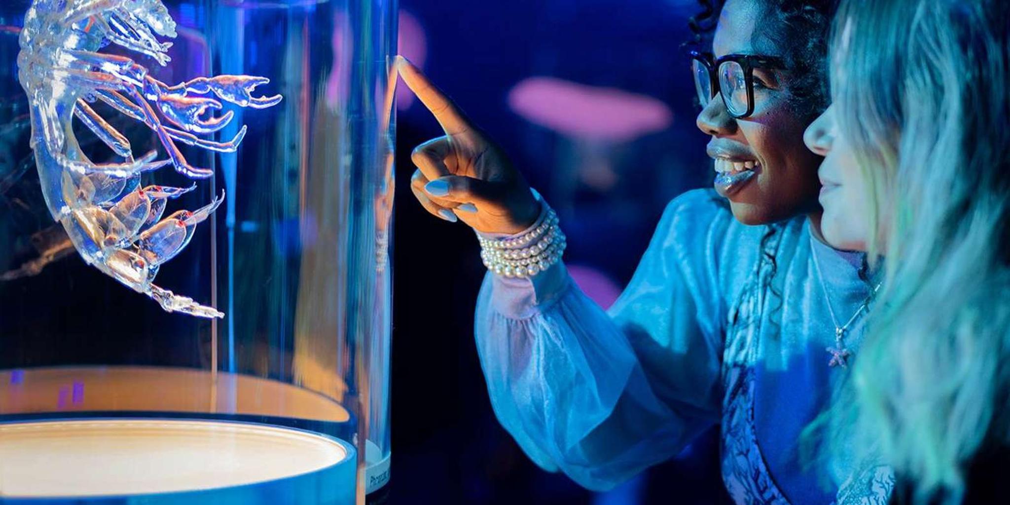 San Francisco California Academy of Sciences Entry Ticket - Image 1