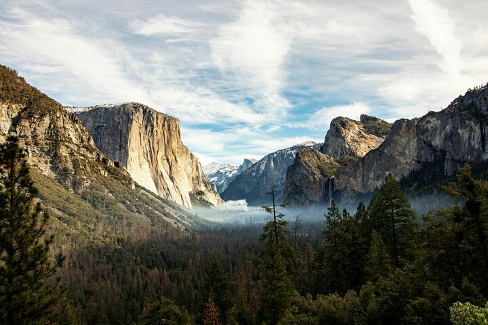 San Francisco Yosemite Private Day Tour - Image 4