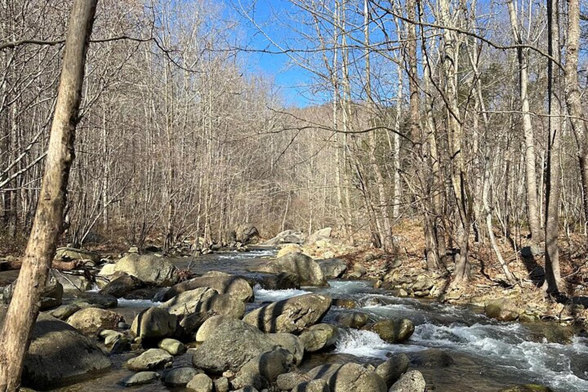Virginia Trout Fishing Excursion - Image 6