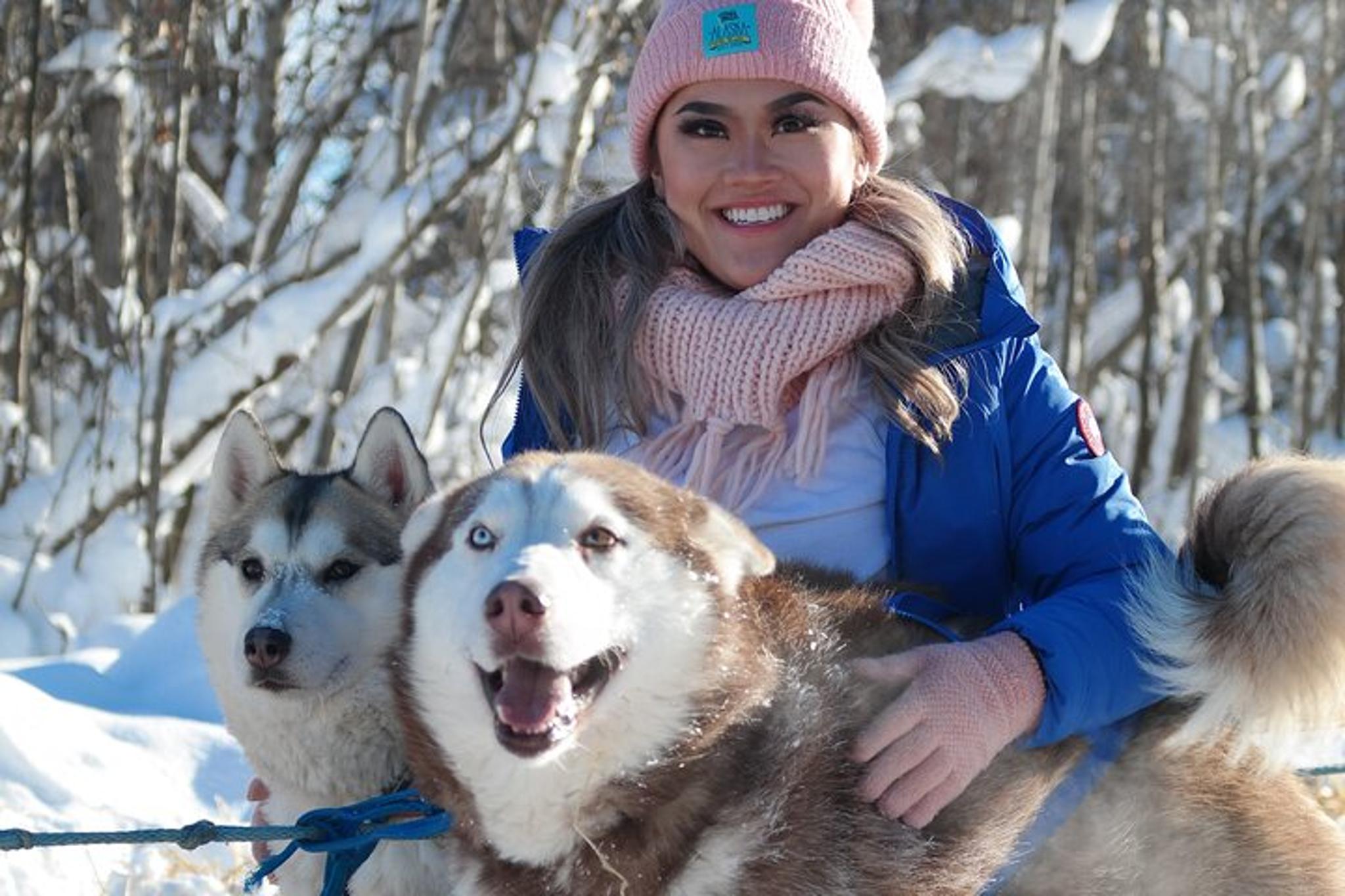 Fairbanks Dog Sledding with Free Photo 90 min - Image 4