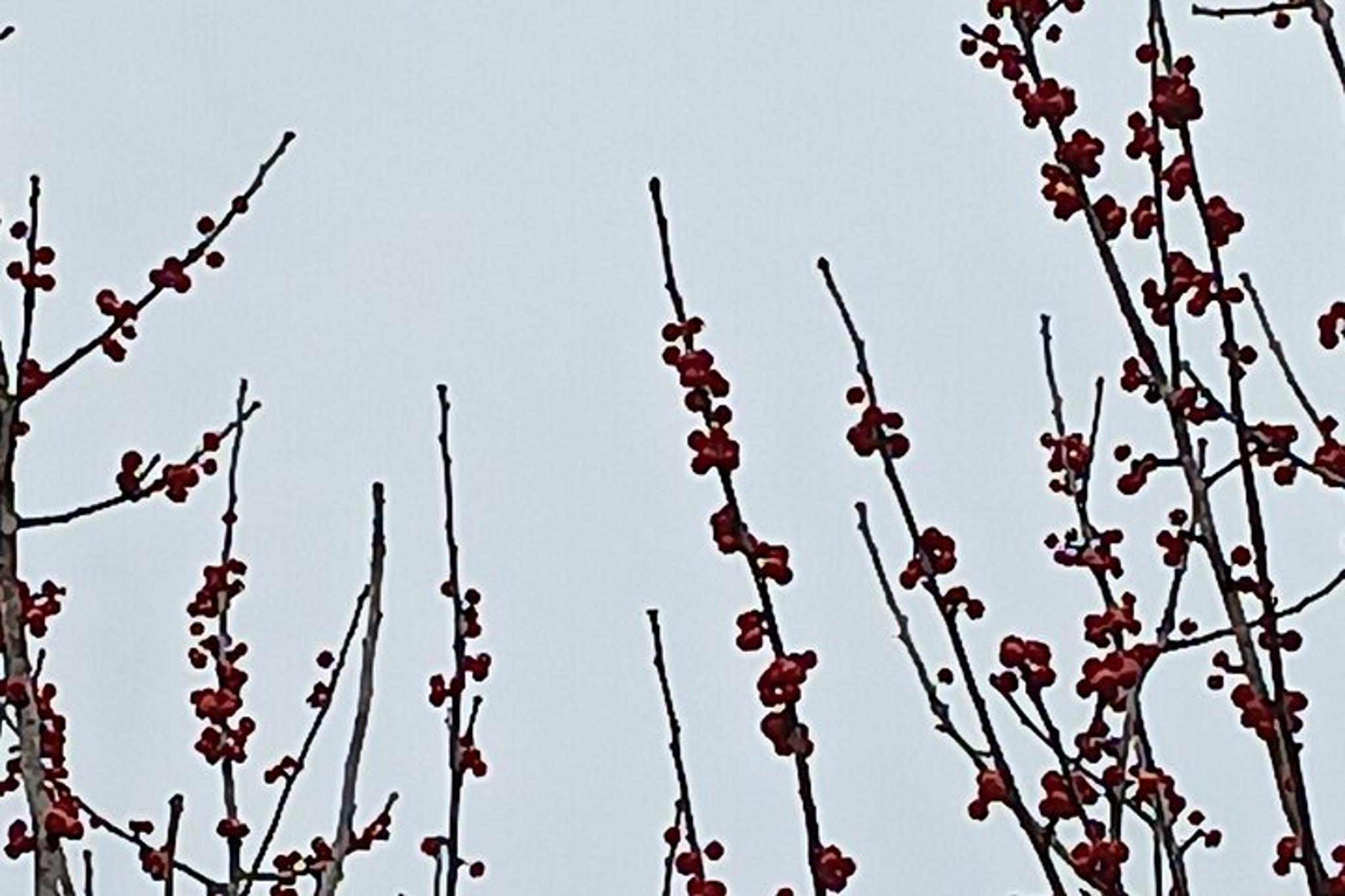 Houston to Austin Day Trip - Image 5