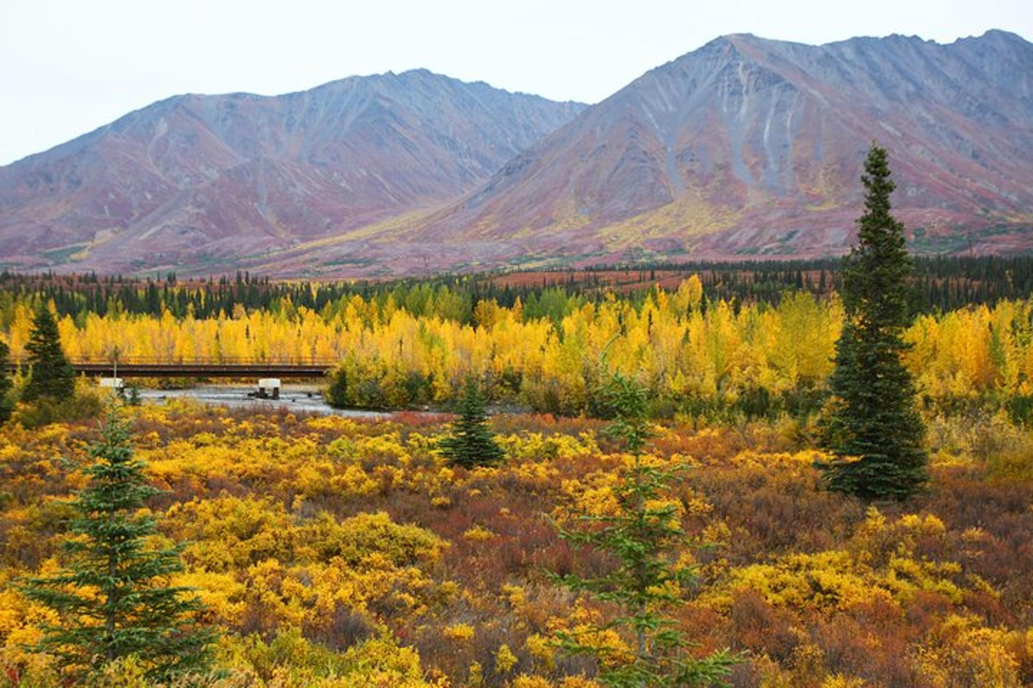 Fairbanks to Denali National Park Private Transfer - Image 3
