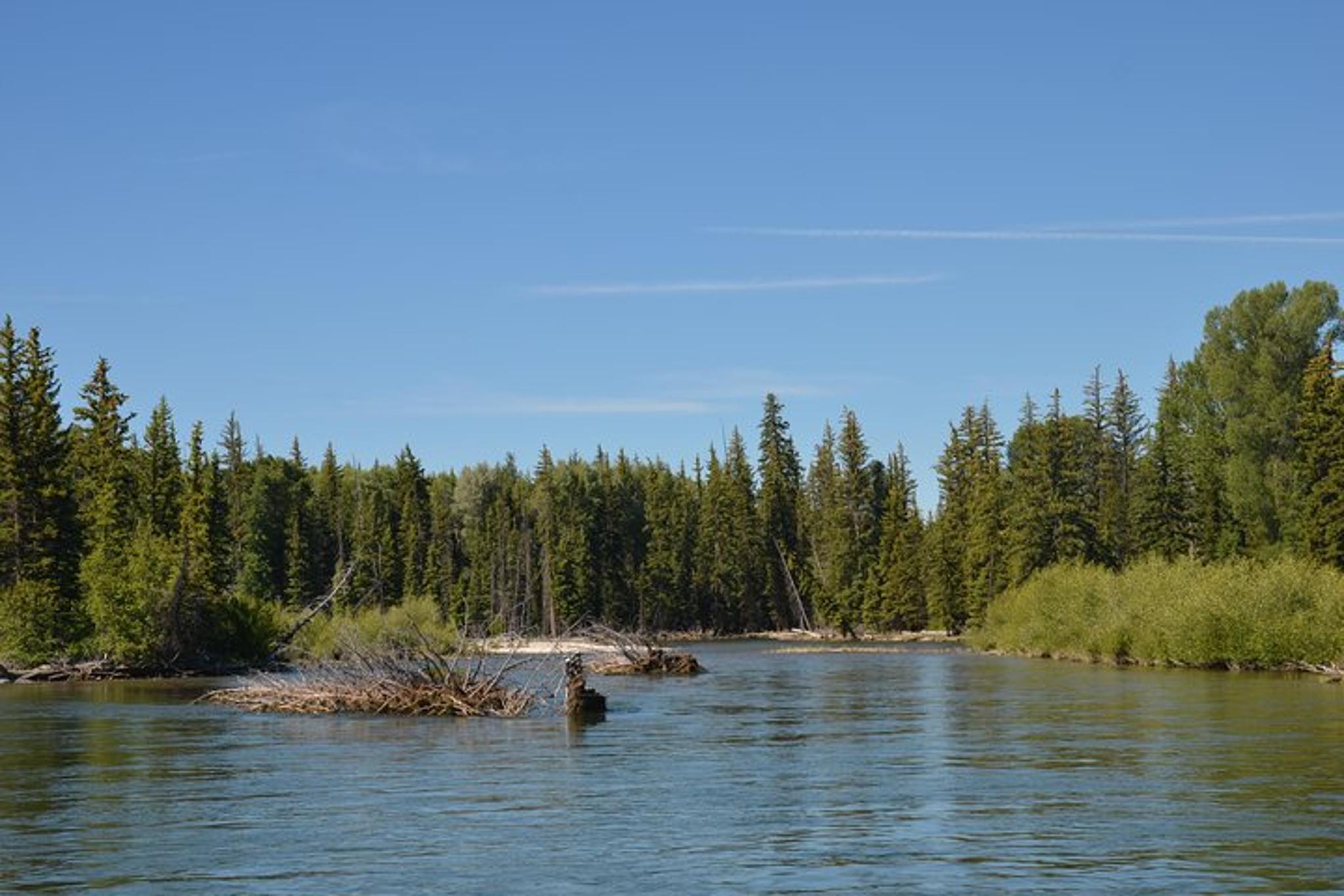Jackson Hole Scenic Float Trip in Grand Teton National Park - Image 5