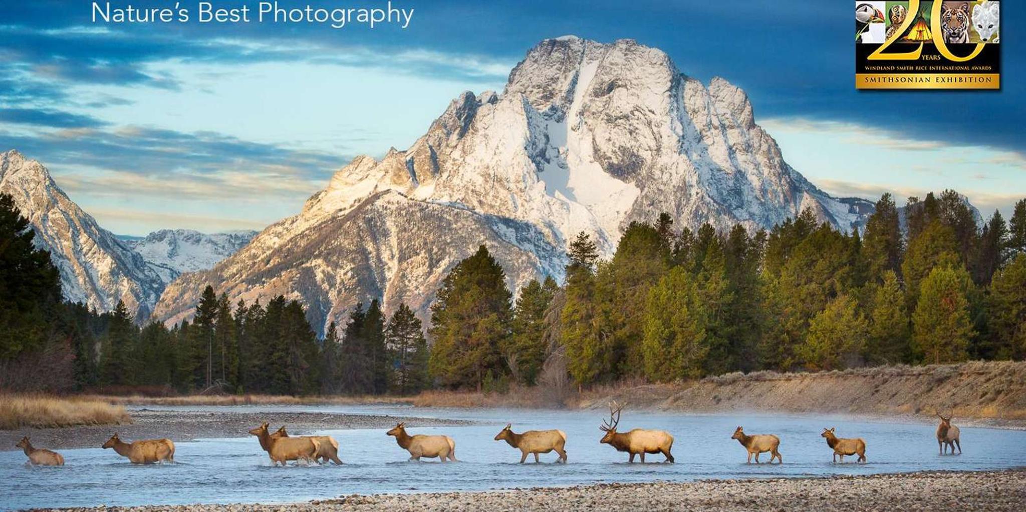 Yellowstone and Southern Utah 9-Day Tour - Image 4