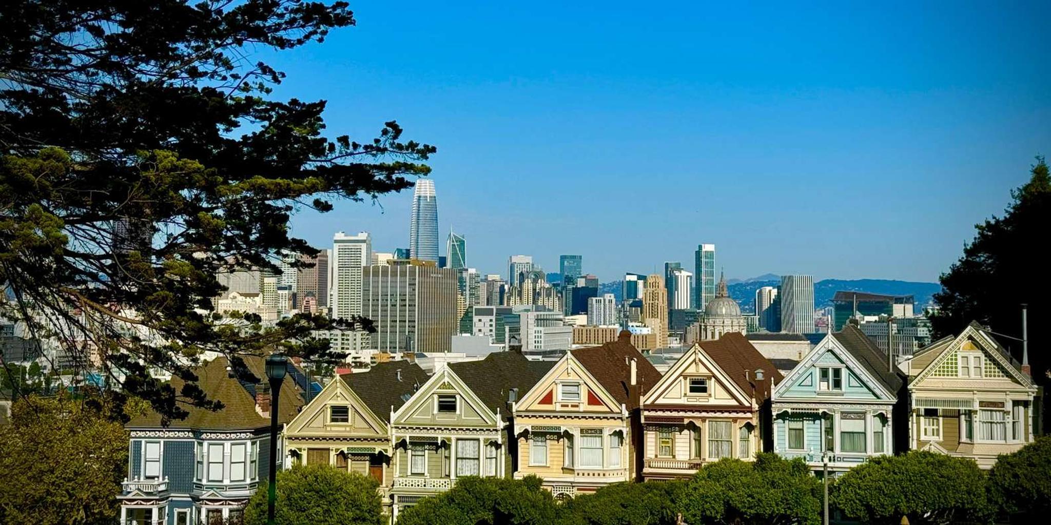 San Francisco City Tour in Electric VW Van - Image 2