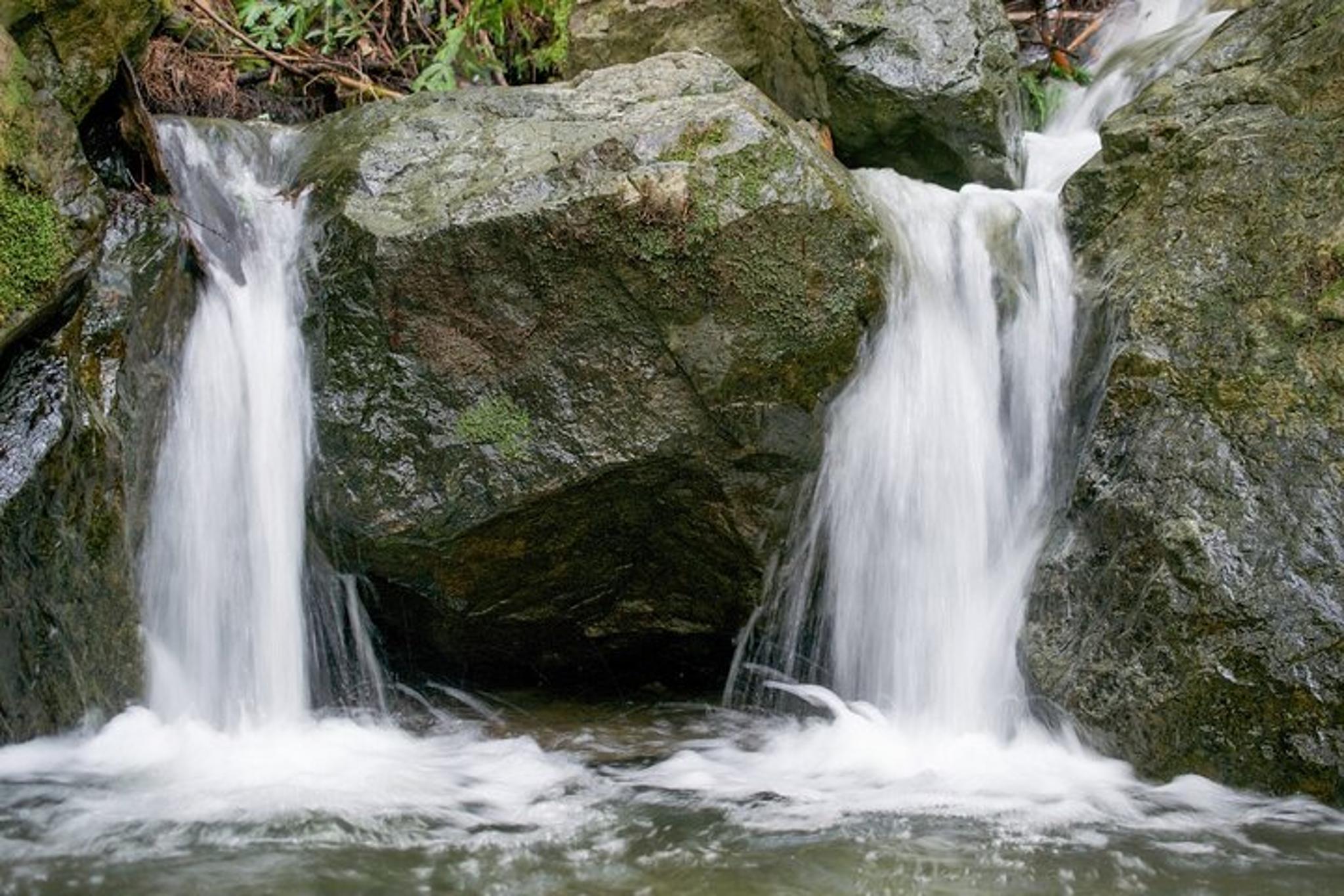 Muir Woods Self-Guided Audio Tour - Image 5