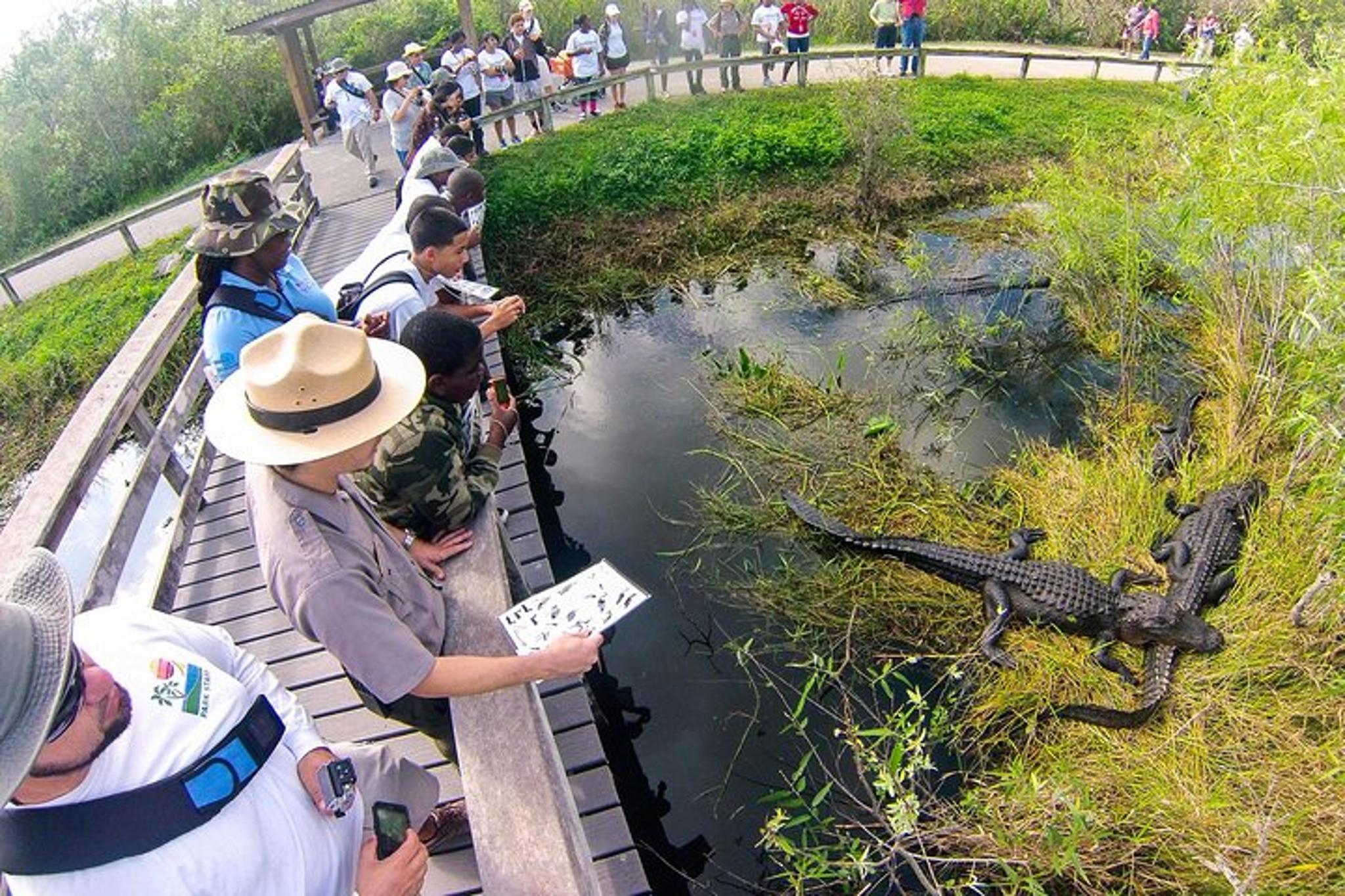 Miami Everglades Private Tour 4 hr - Image 3