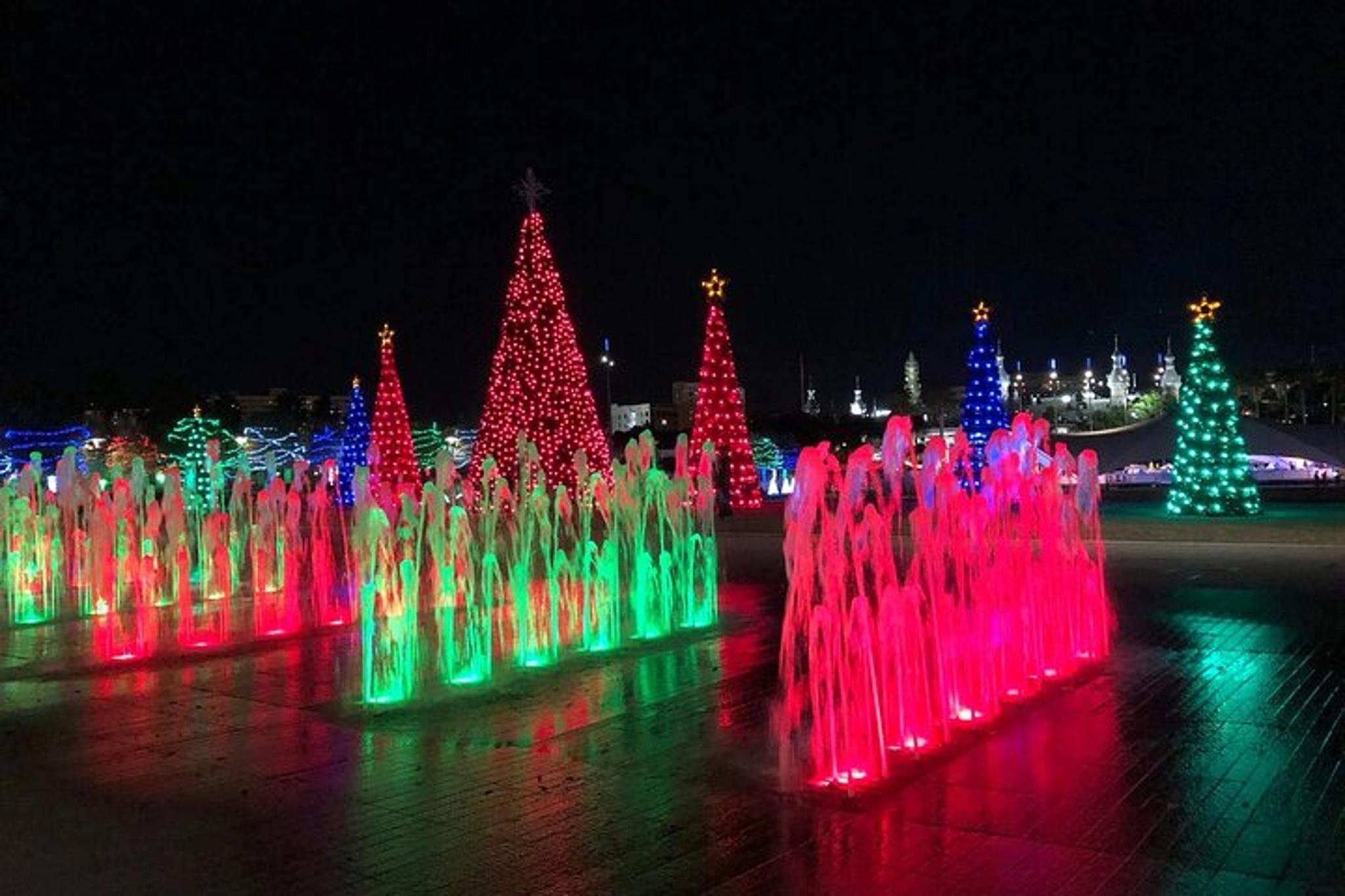 Tampa Christmas Village Private Tour 90 min - Image 3
