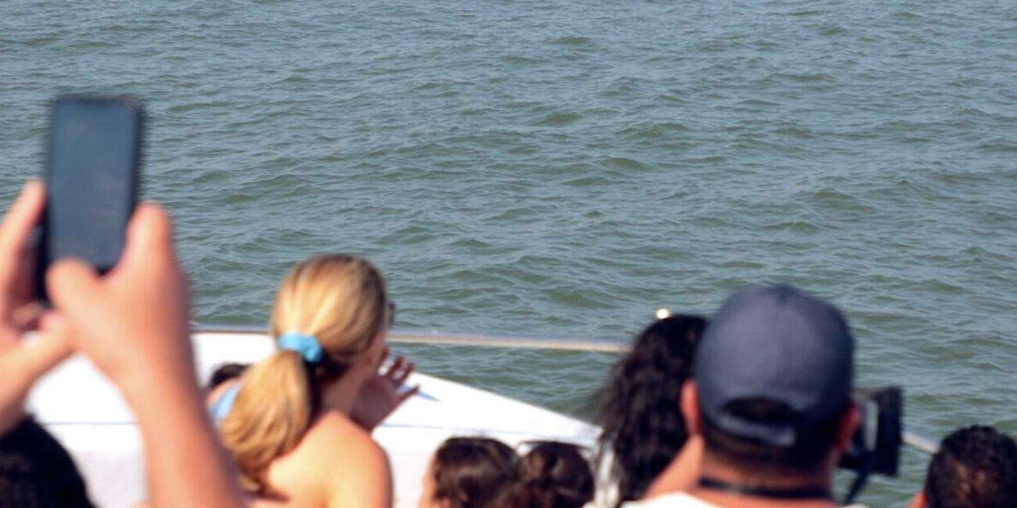 Ocean City Speedboat Tour with Dolphin Spotting 45 min - Image 6