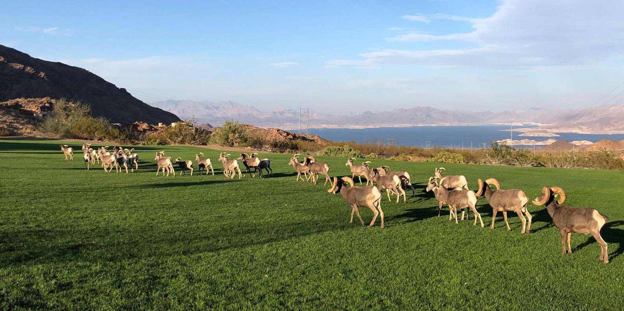 Las Vegas Grand Canyon Day Tour - Image 5