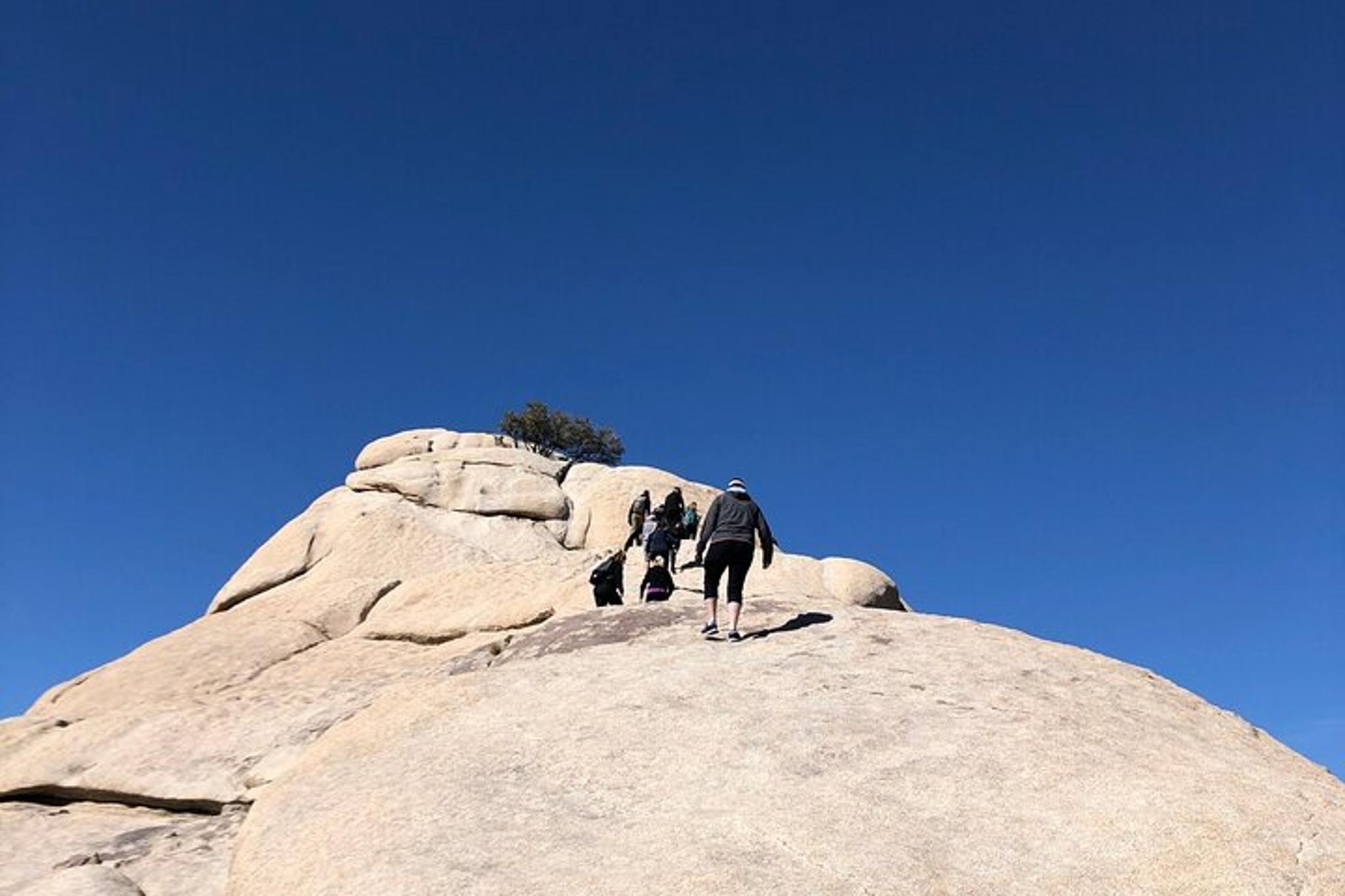 Joshua Tree National Park Driving Tour - Image 5