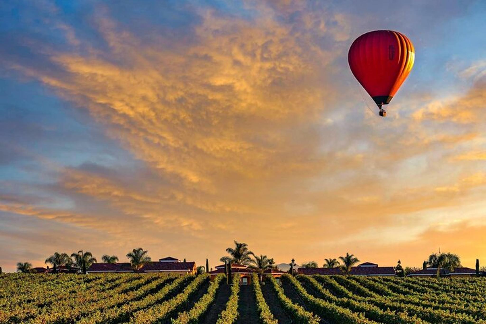 Temecula Hot Air Balloon Private Flight - Image 2