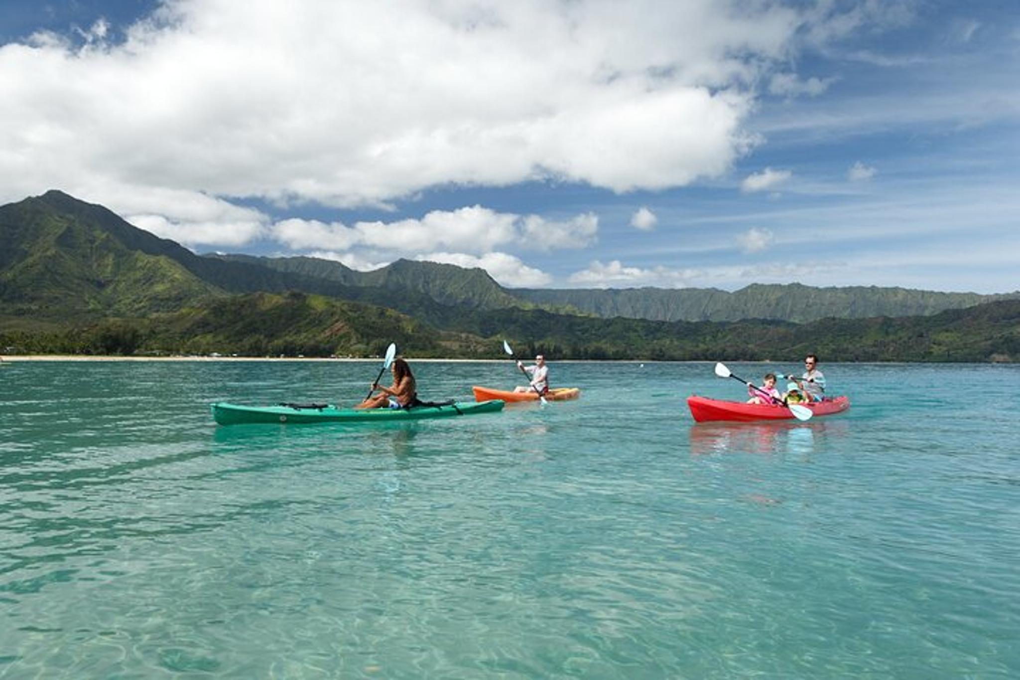 Kauai Kayak and Snorkel Adventure - Image 2